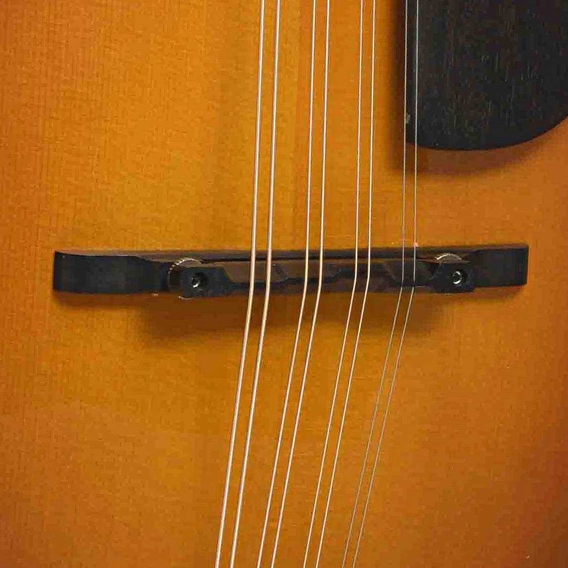 Bridge of MDO-605 Octave Mandolin