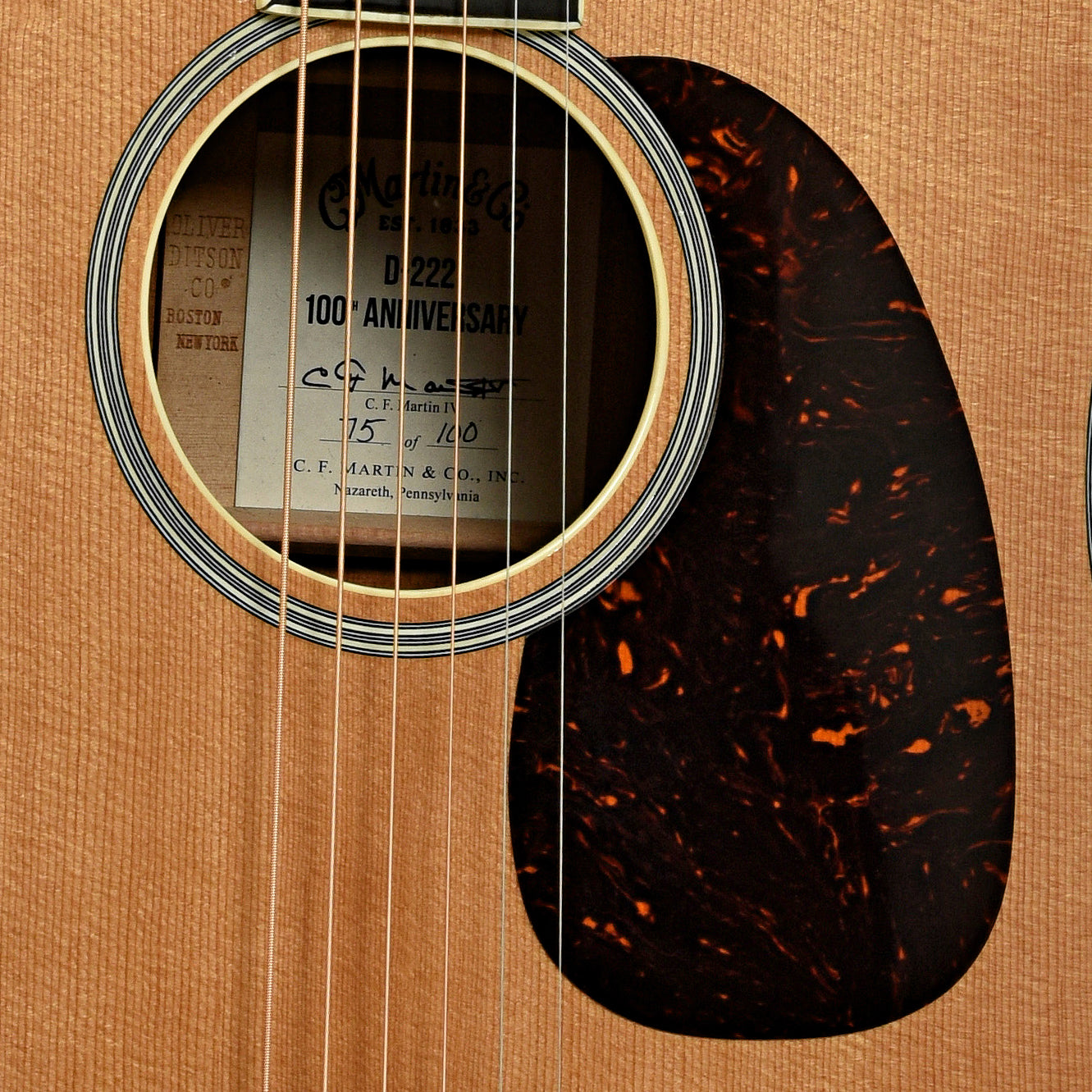Soundhole of Martin D-222 100th Anniversary Acoustic Guitar 