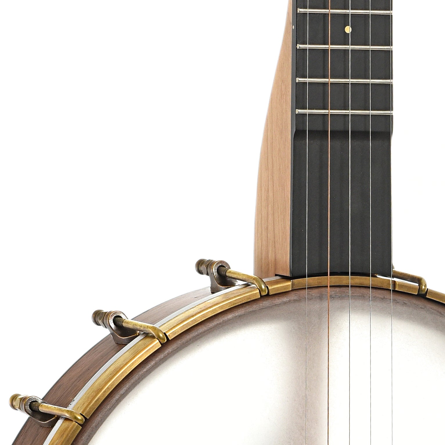 Scoop of Pisgah Roscoe Banjo