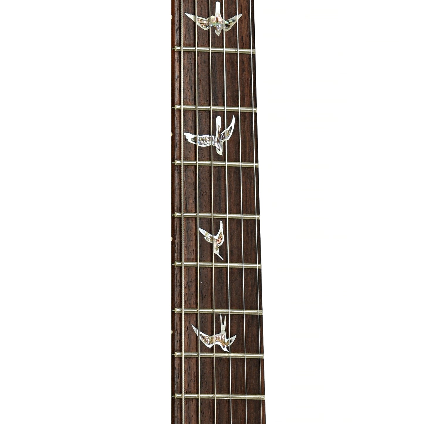 Fretboard of PRS Custom 24 10 Top Electric Guitar 