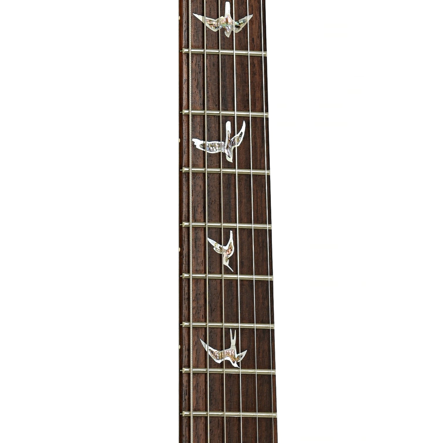 Fretboard of PRS Custom 24 10 Top Electric Guitar 