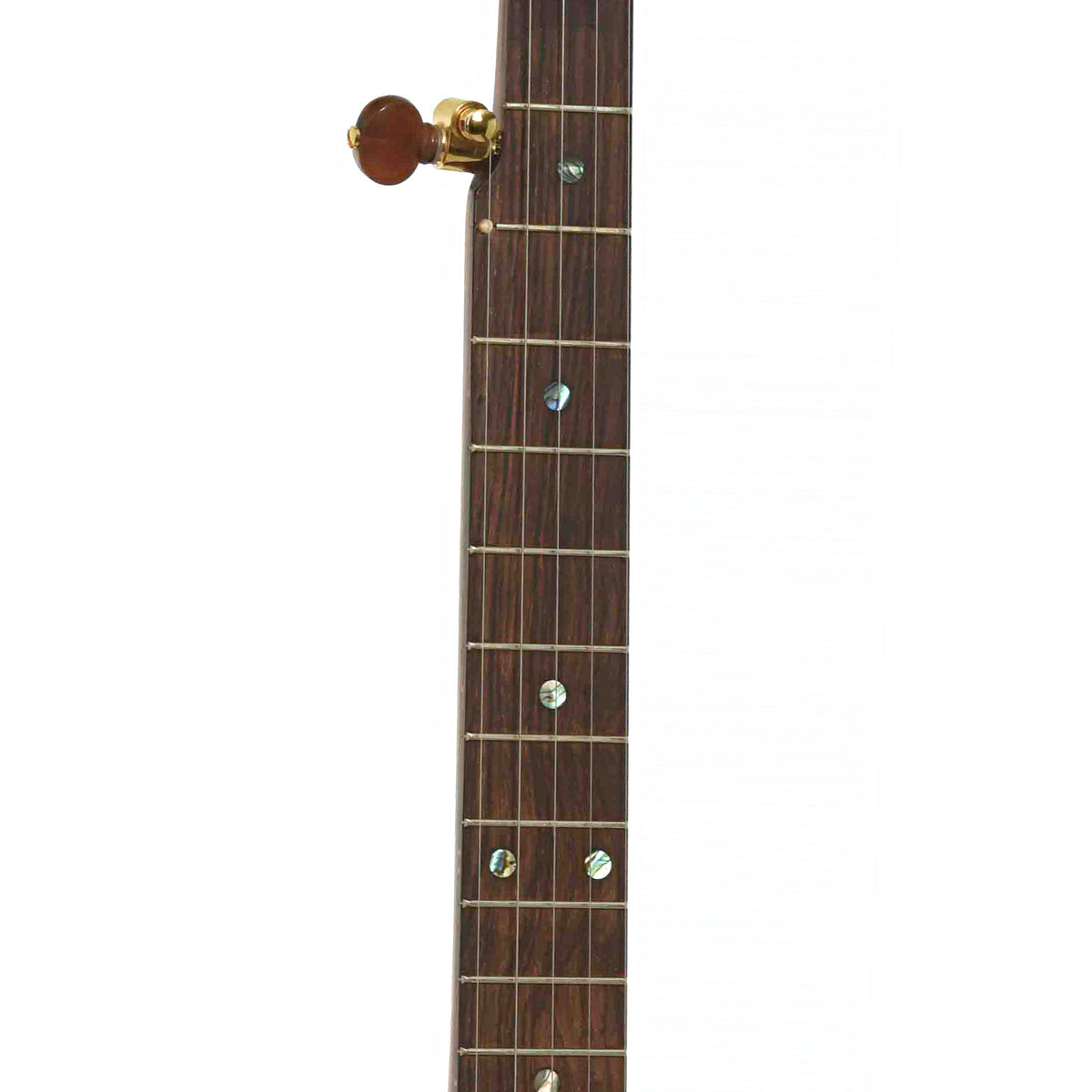 Fretboard of Starr Gold Hill Limited Edition 11" Openback Banjo