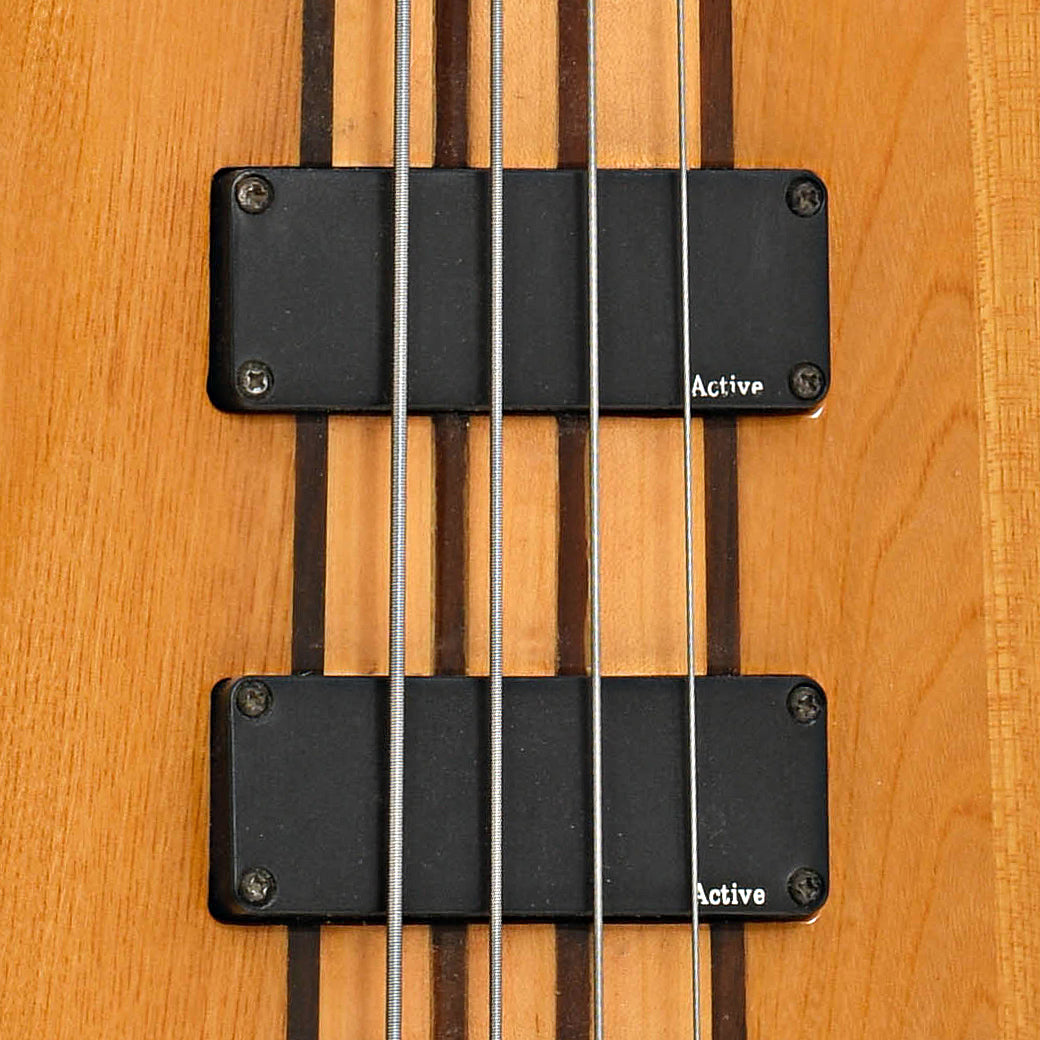 Pickups of Jay Turser JTB-1004 4-String Electric Bass