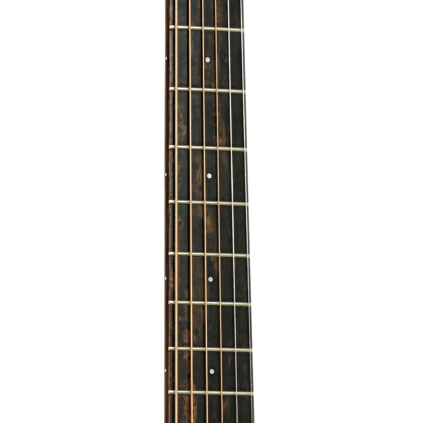 Fretboard of Taylor GS Custom Acoustic Guitar