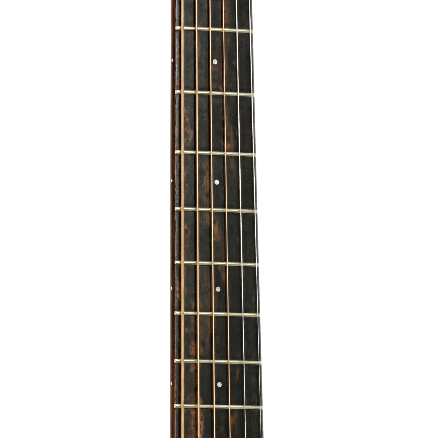 Fretboard of Taylor GS Custom Acoustic Guitar