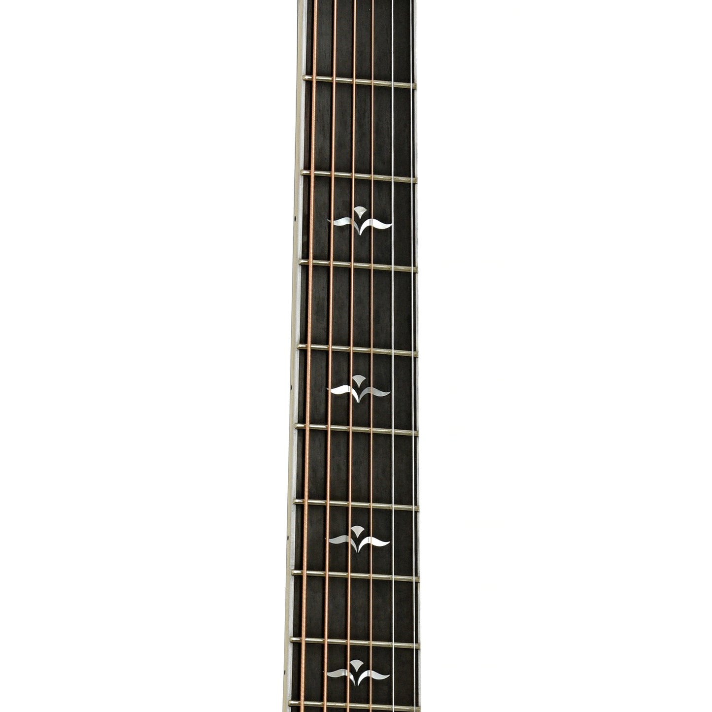 Fretboard of Taylor 612 Translucent Black Acoustic Guitar