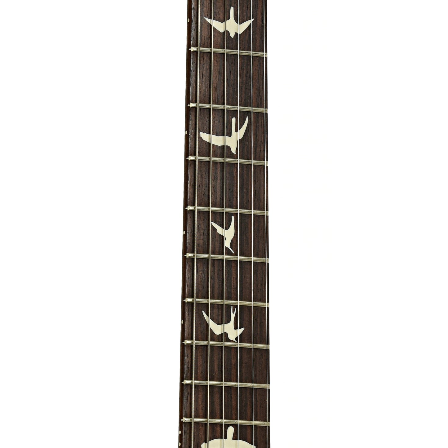 Fretboard of PRS S2 Standard 24 Electric Guitar