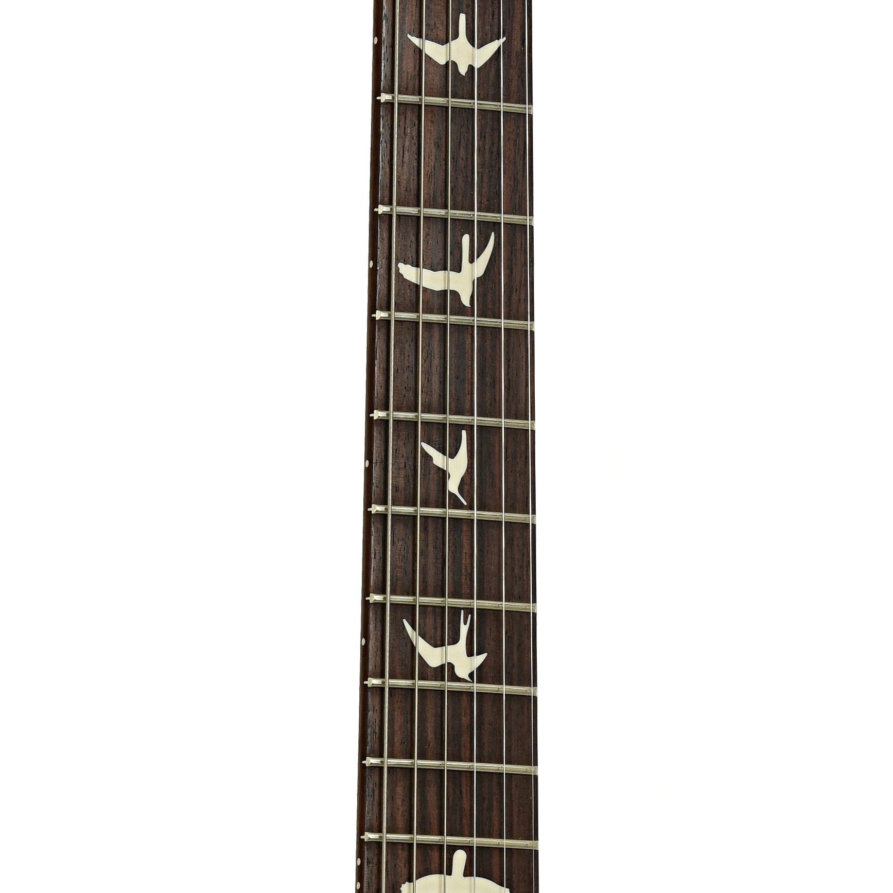 Fretboard of PRS S2 Standard 24 Electric Guitar