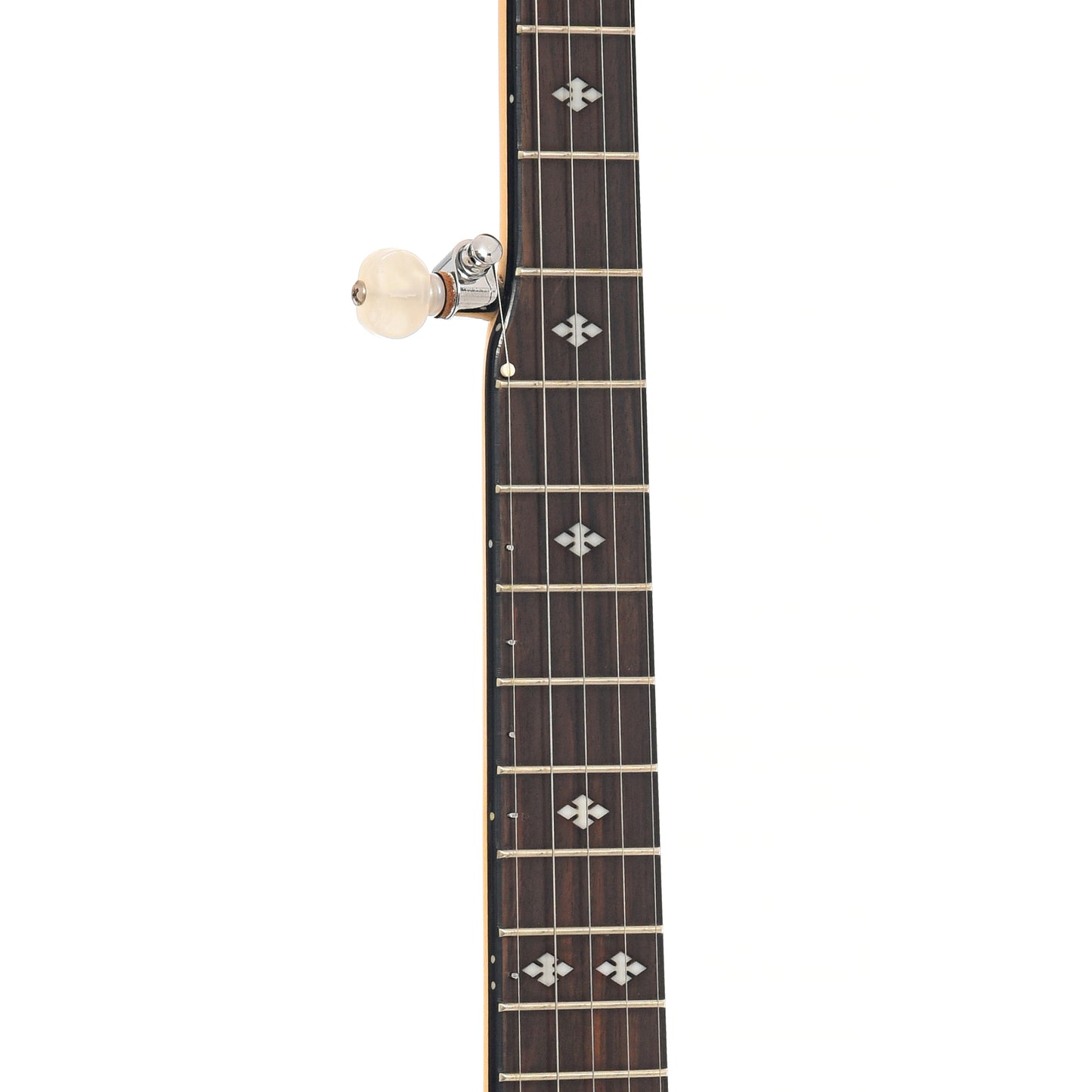 Fretboard of Gold Tone MM-150A Maple Mountain A-Scale (2013)