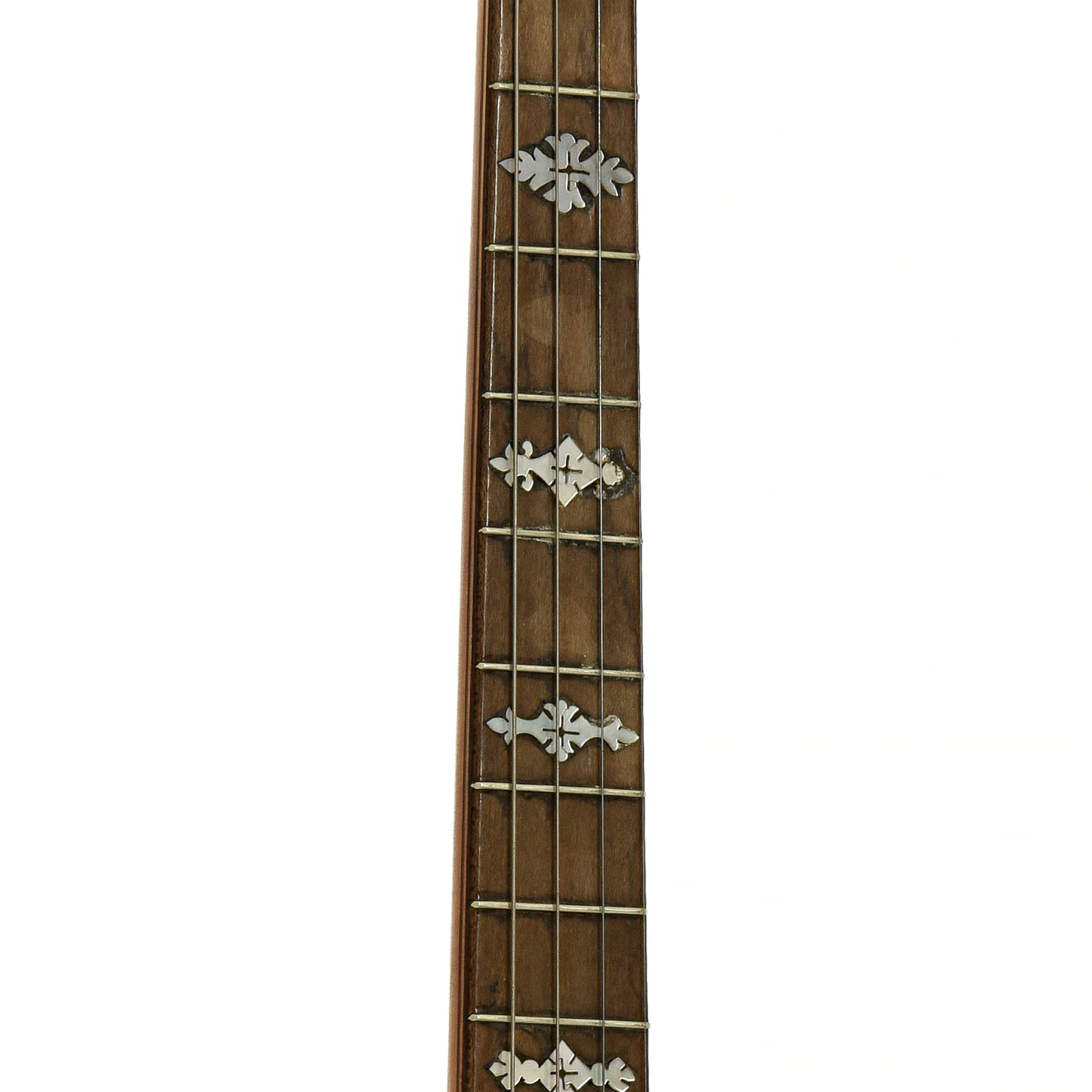 Fretboard of S.S. Stewart Tenor Banjo