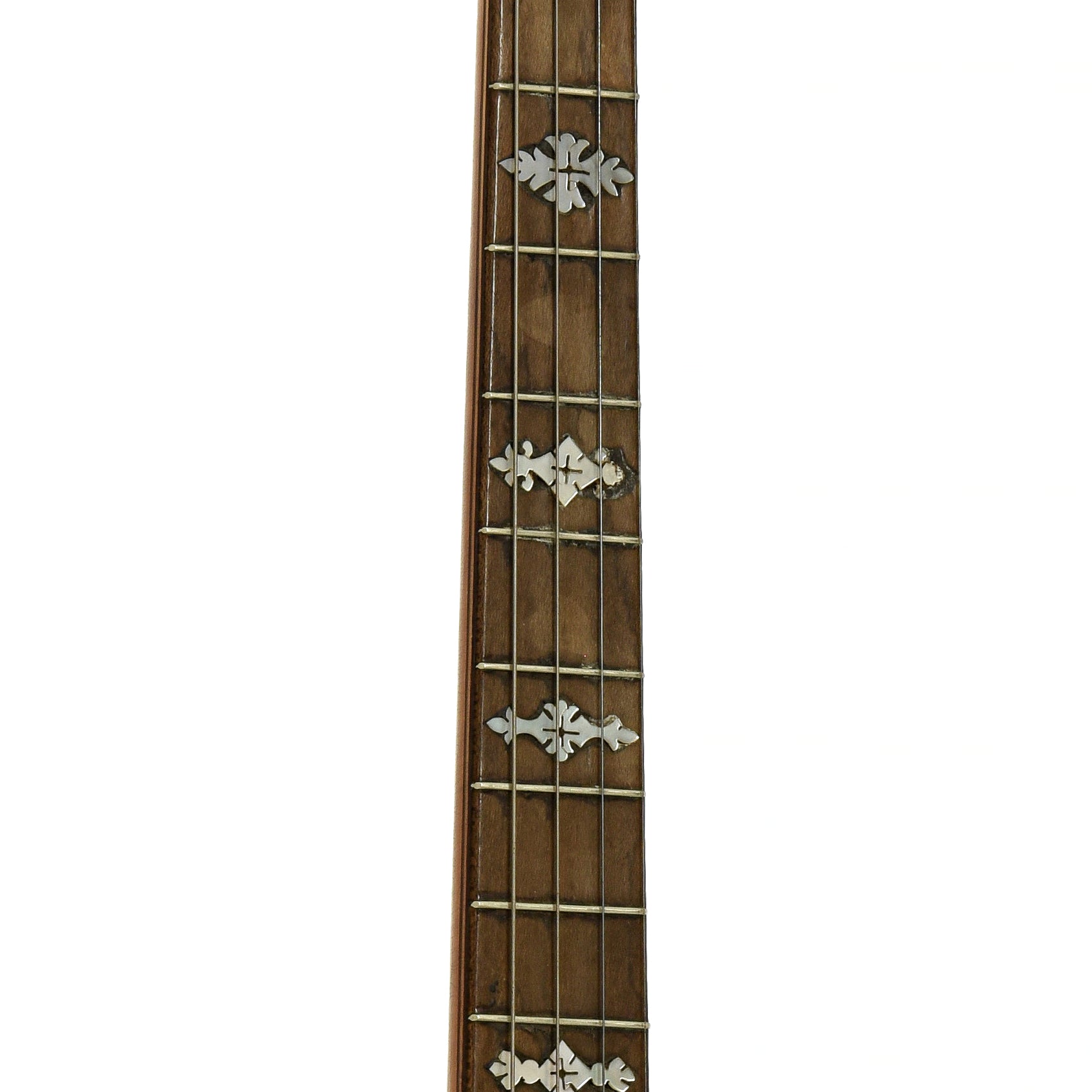 Fretboard of S.S. Stewart Tenor Banjo