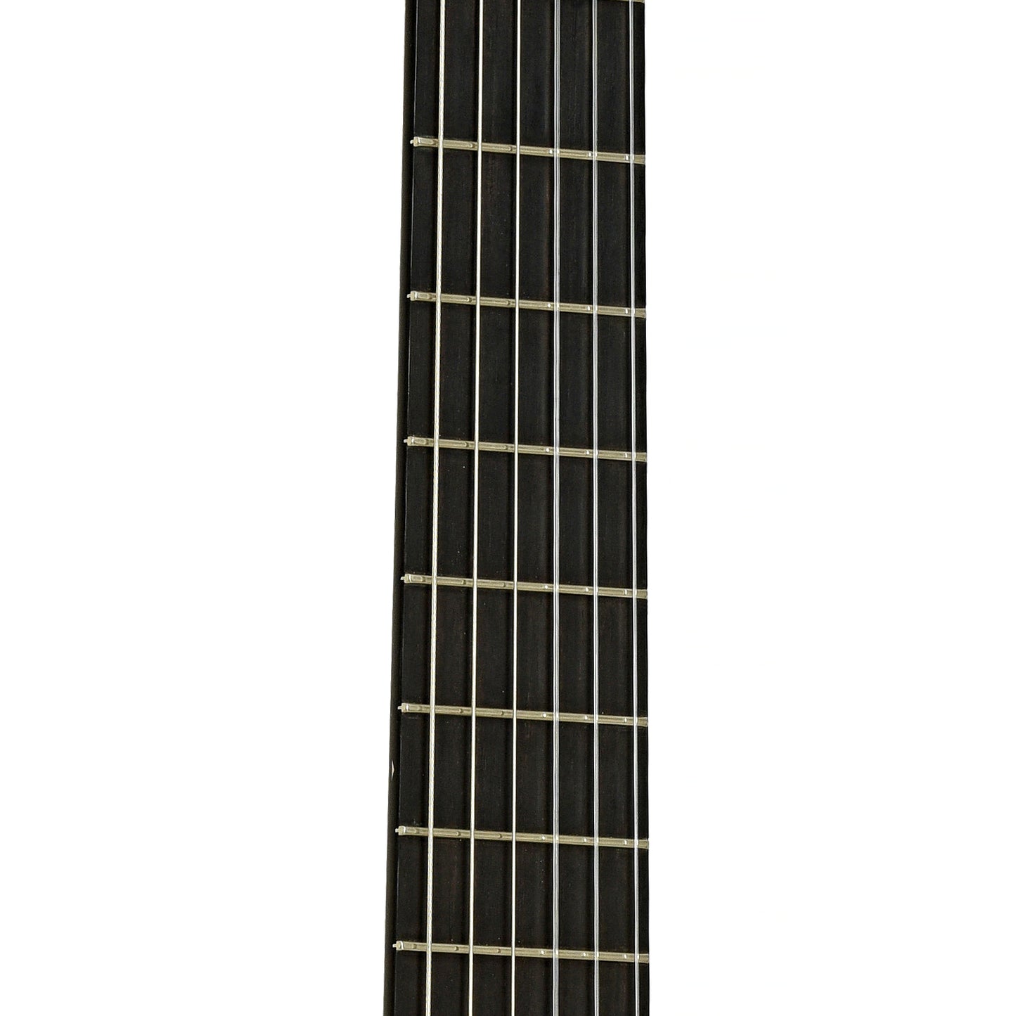 Fretboard of G.V. Rubio Hauser Model Classical Guitar