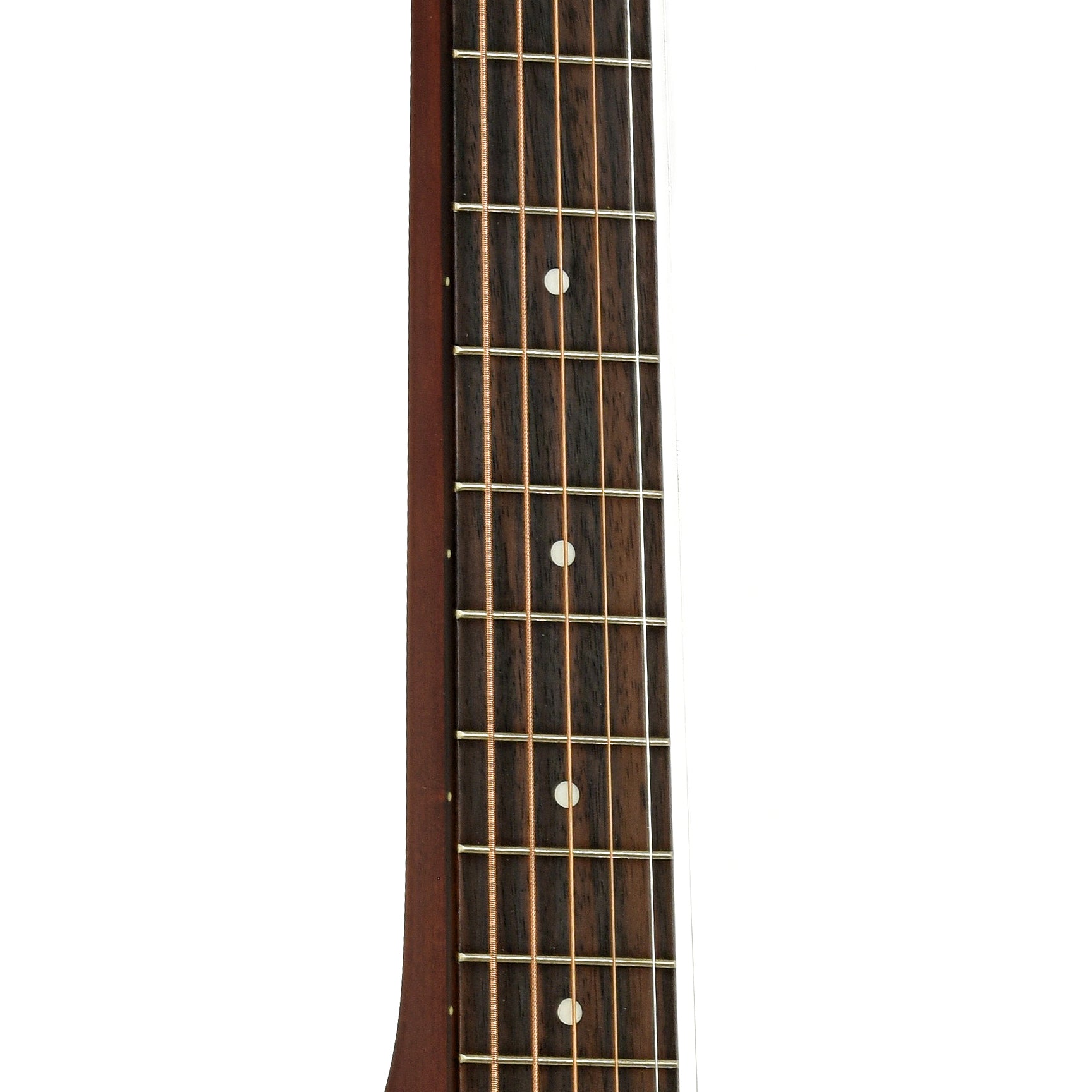 Fretboard of Dobro Hound Dog Squareneck Resonator Guitar