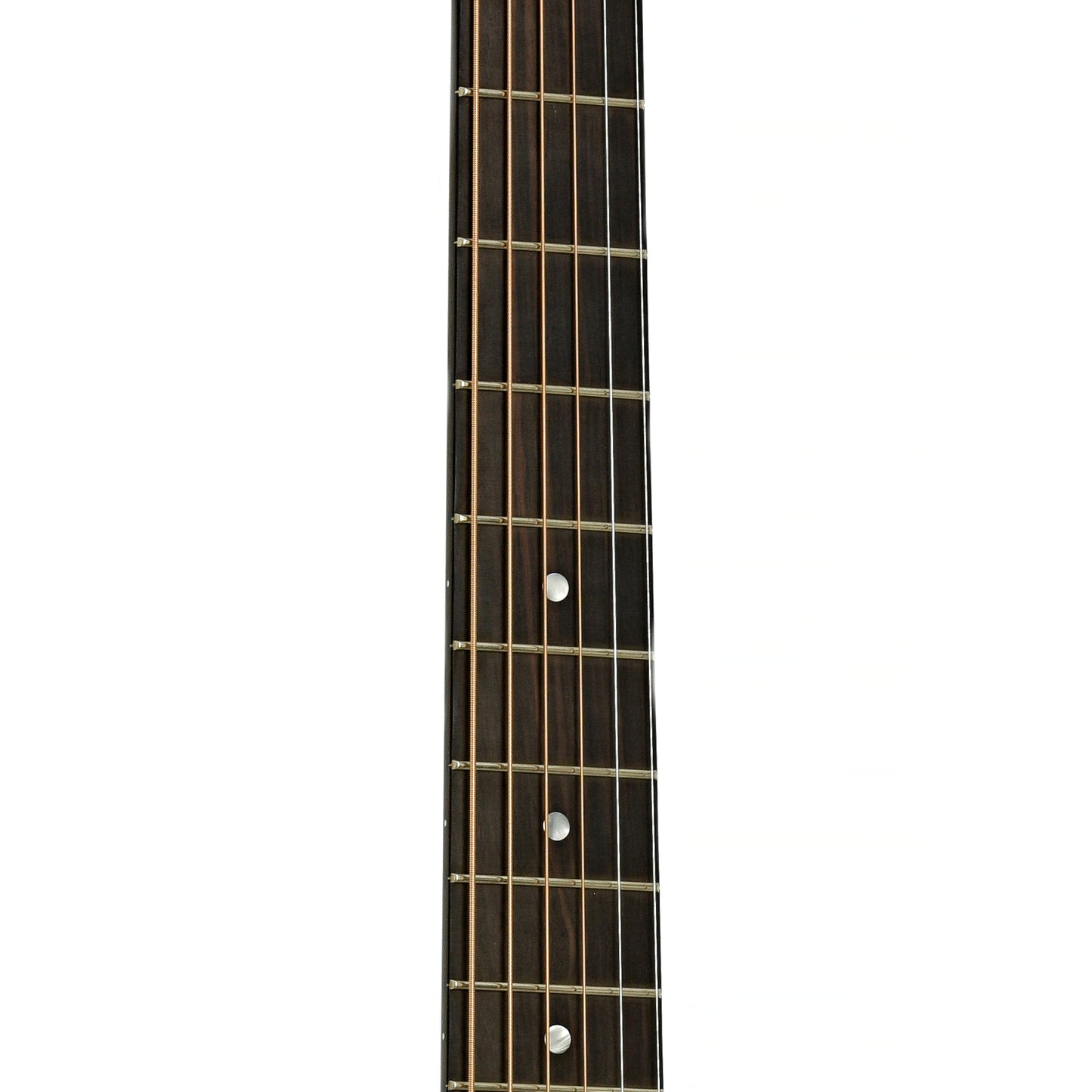 Fretboard of Beard RFB Radio Standard Resonator Guitar 