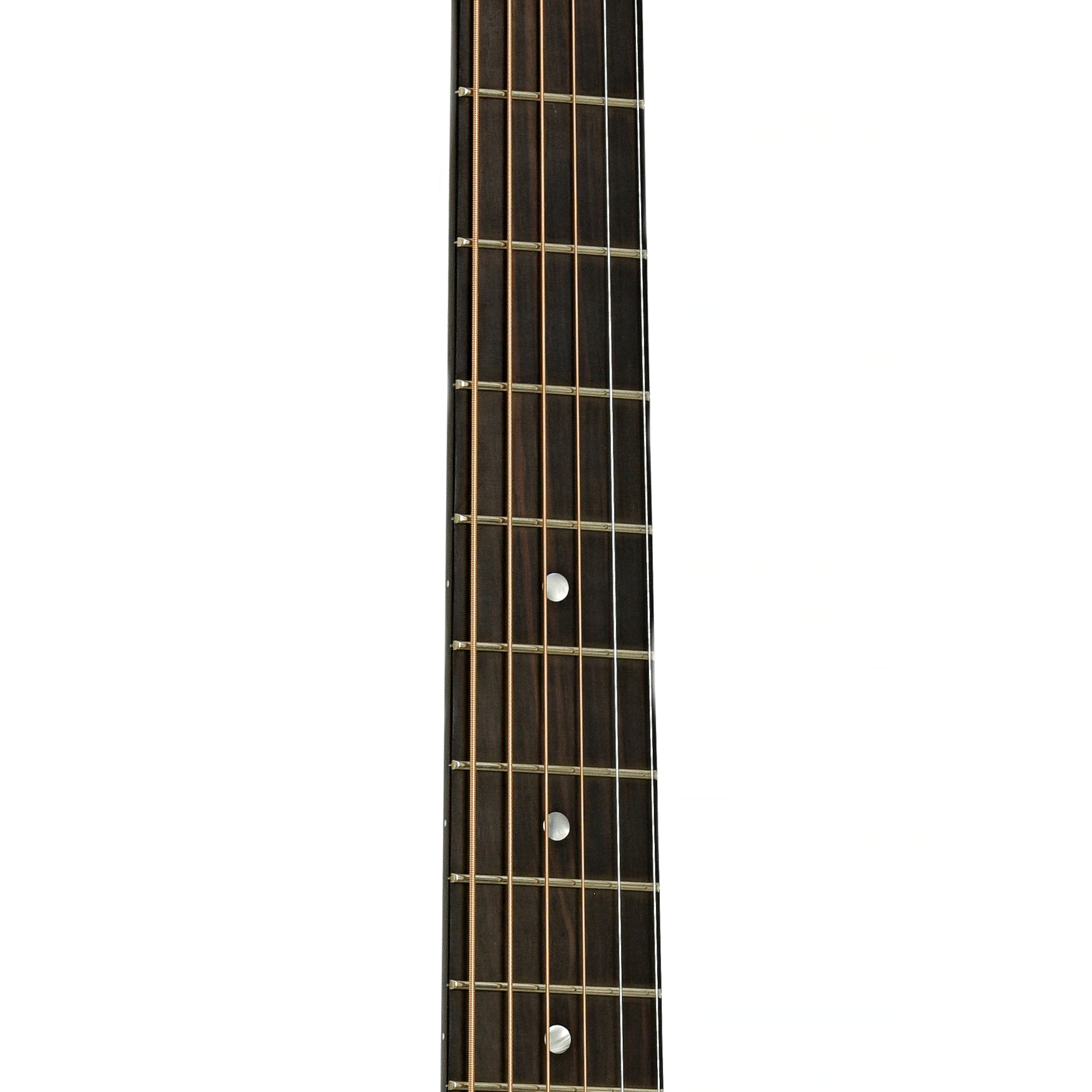 Fretboard of Beard RFB Radio Standard Resonator Guitar 