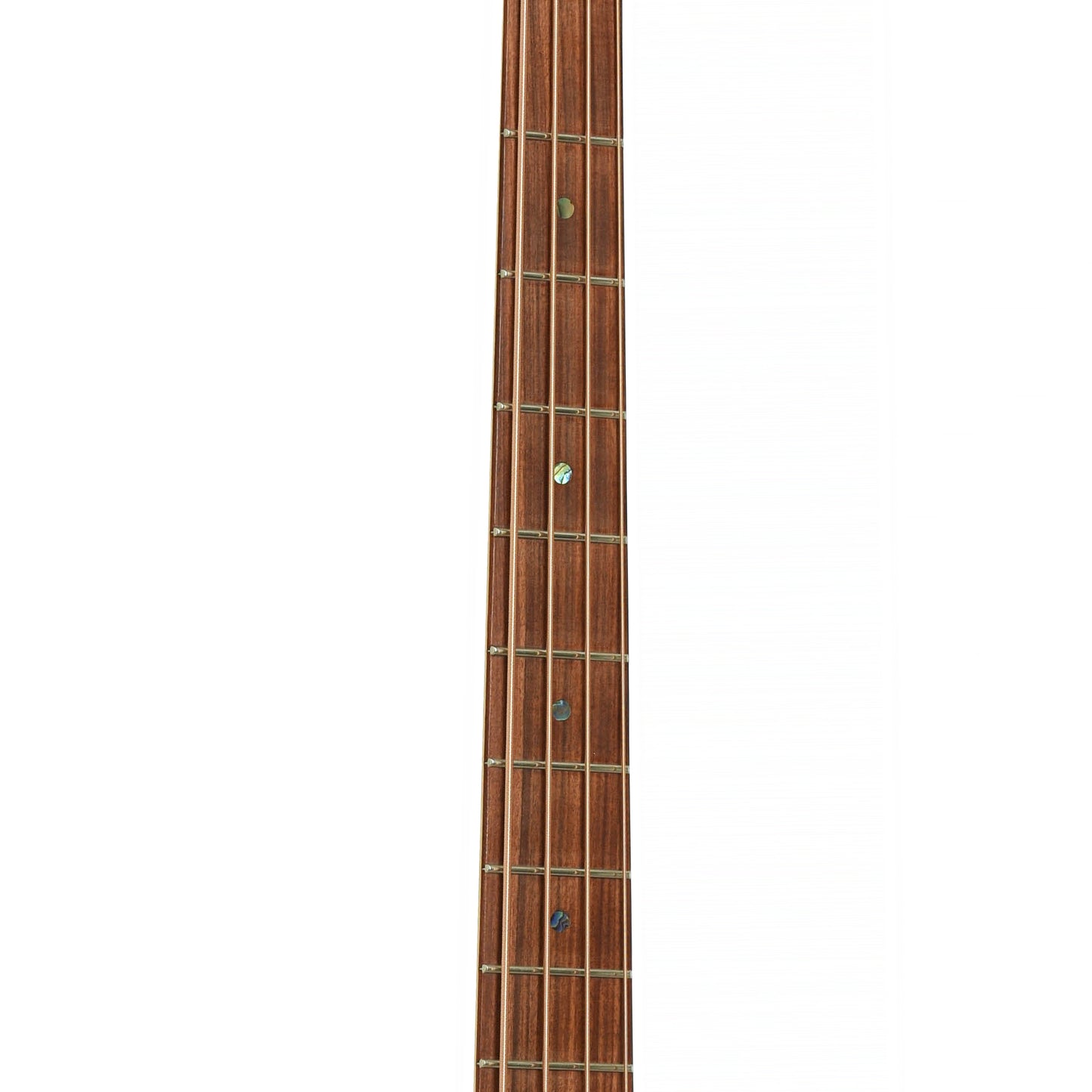 Fretboard of Rick Turner RB-4 Acoustic-Electric Bass