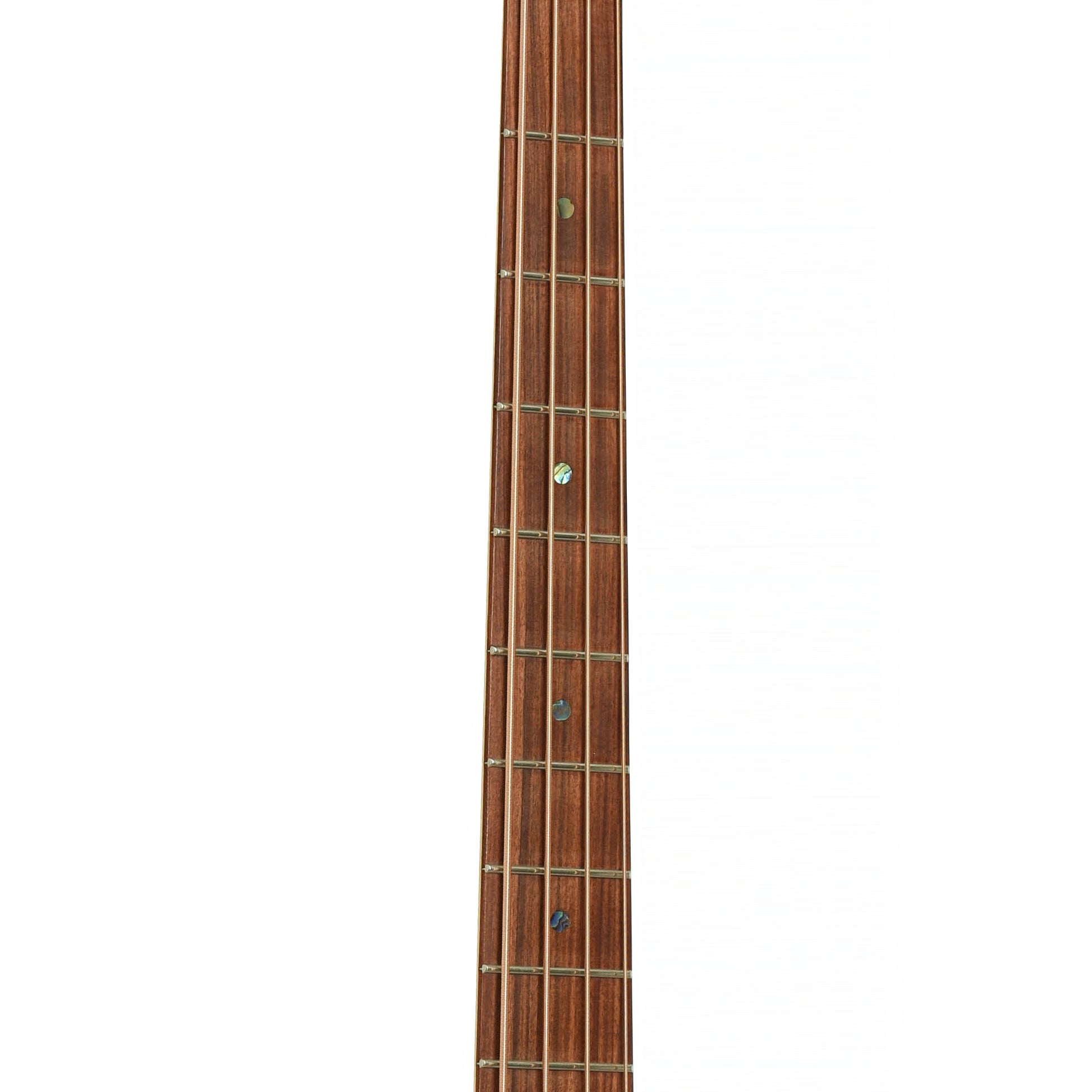 Fretboard of Rick Turner RB-4 Acoustic-Electric Bass