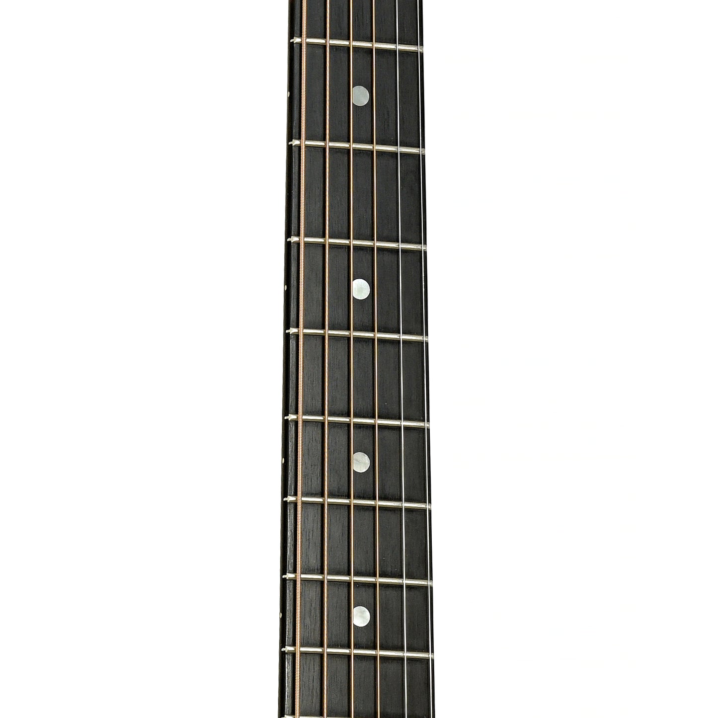Fretboard of Taylor 420 Rosewood Acoustic Guitar