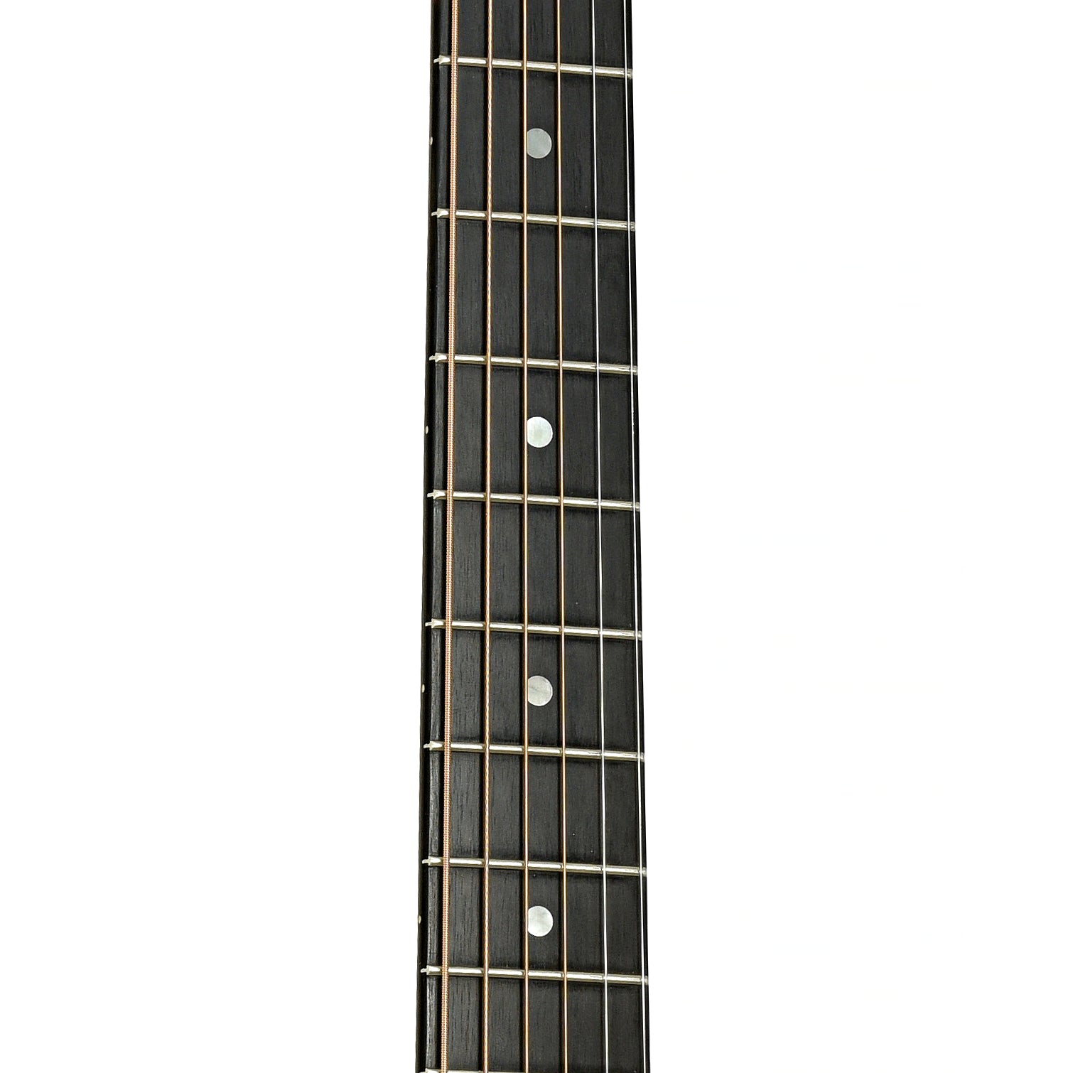 Fretboard of Taylor 420 Rosewood Acoustic Guitar