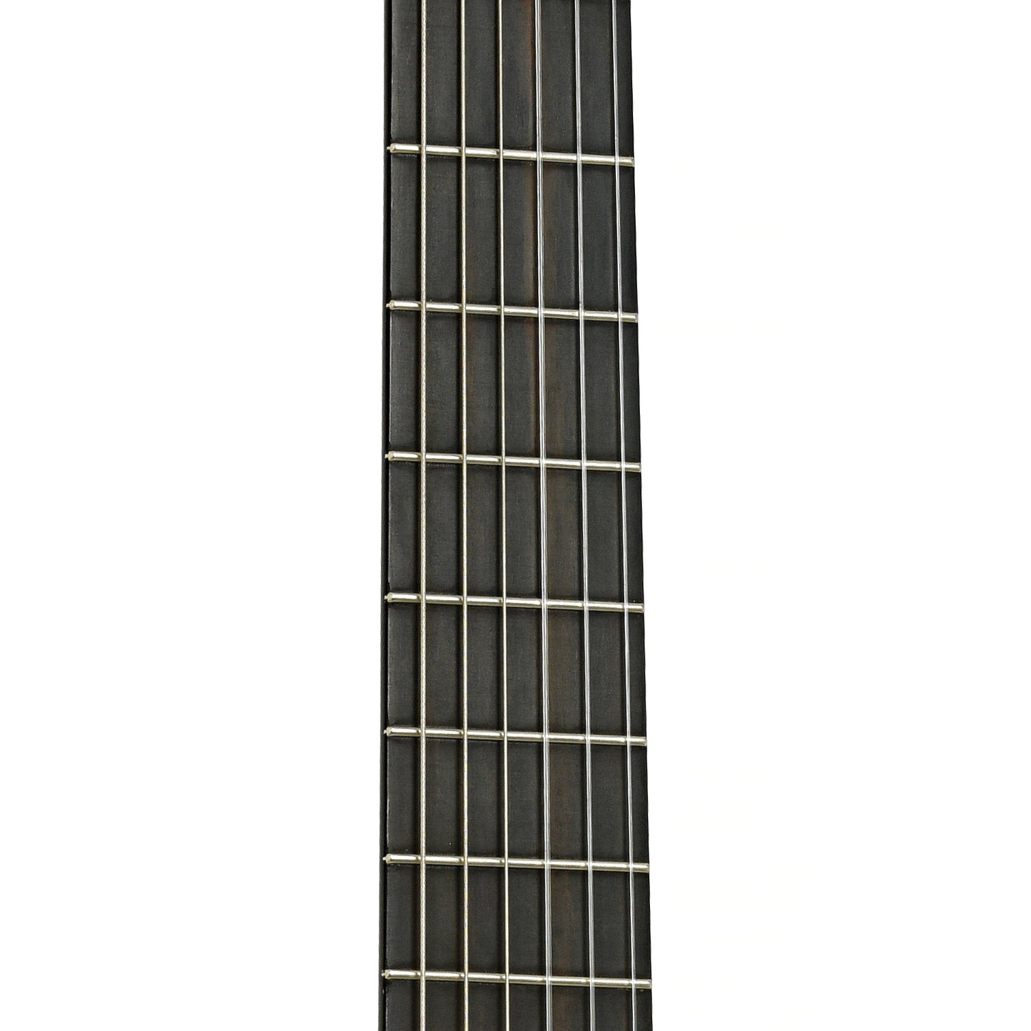 Fretboard of Jorge Montalvo Concert Classical Guitar