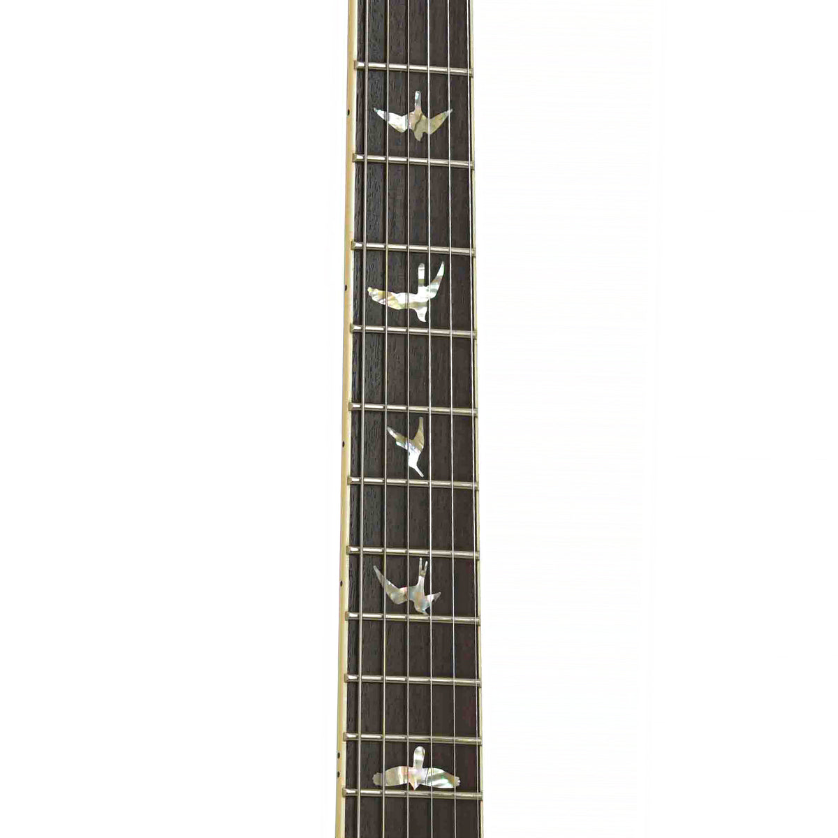 Fretboard of SC 594 McCarty Single Cut