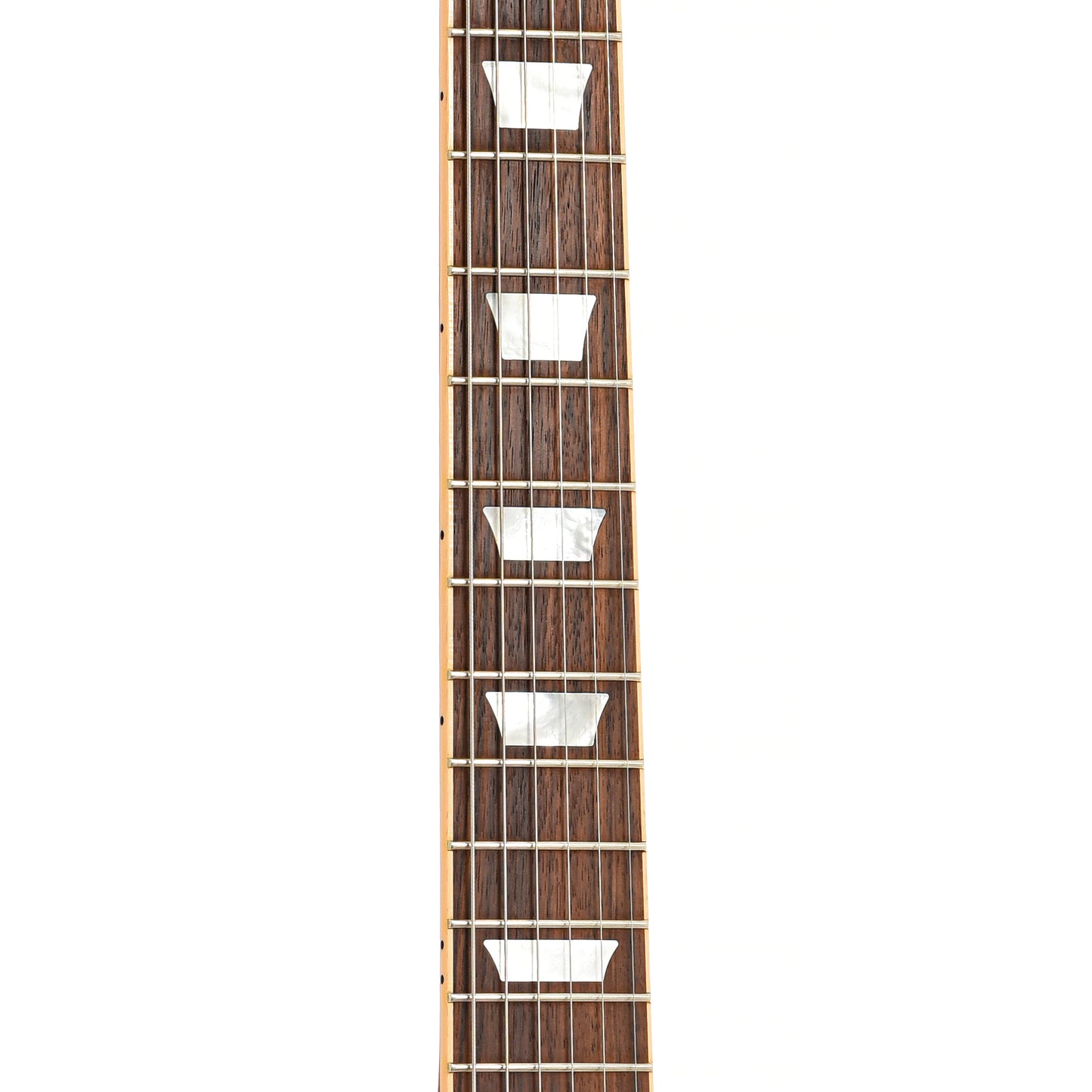 Fretboard of Gibson Les Paul Classic 100 