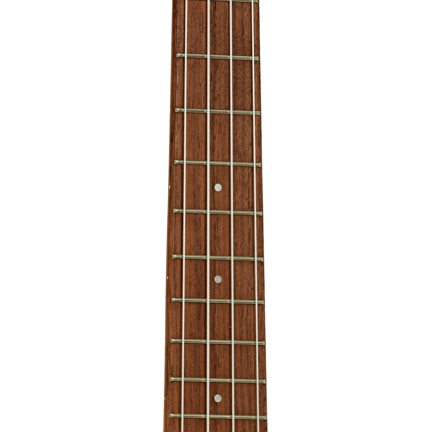 Fretboard of Kala KA-FMTG Tenor Ukulele 