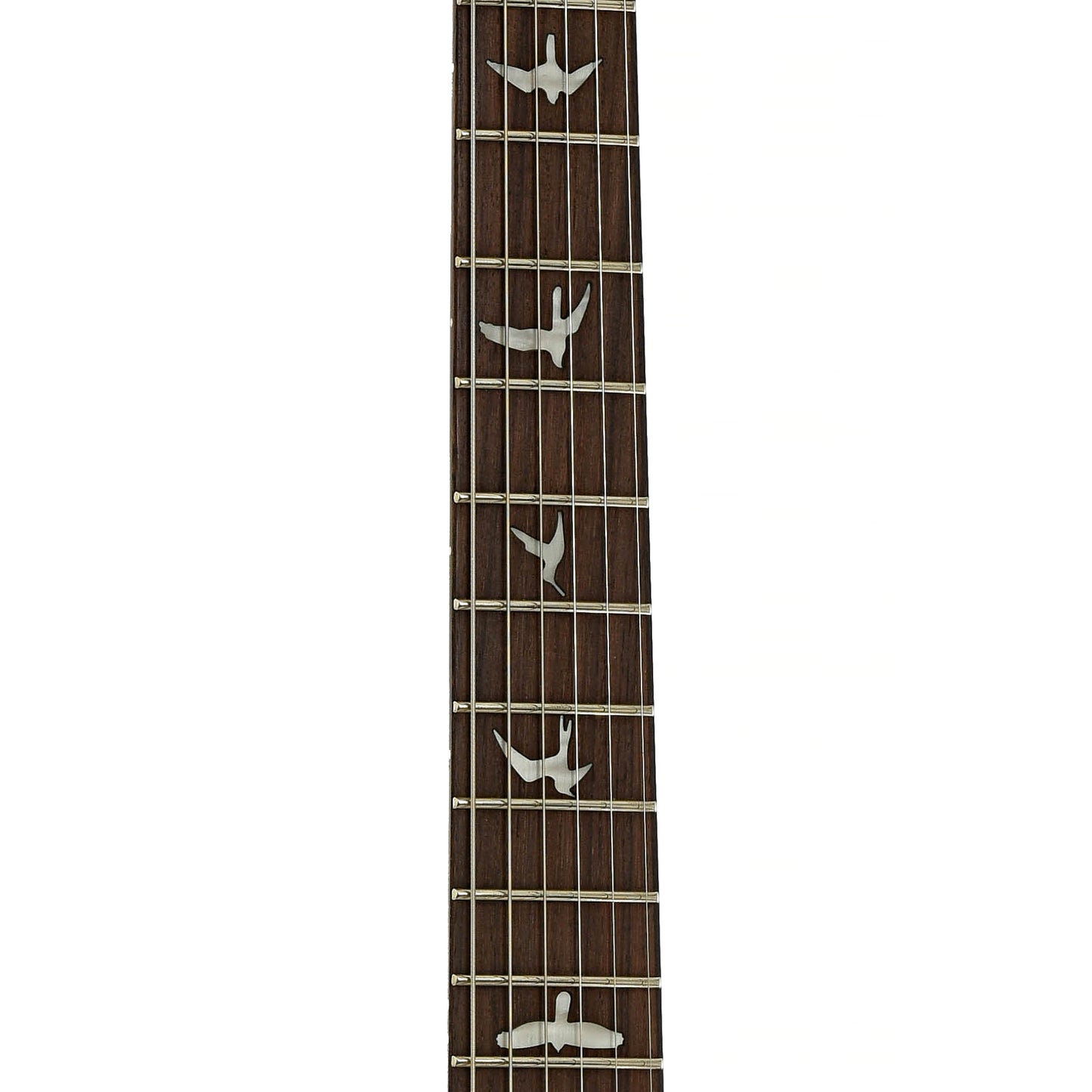 Fretboard of PRS SE Special Semi-Hollow Electric Guitar Lake Blue