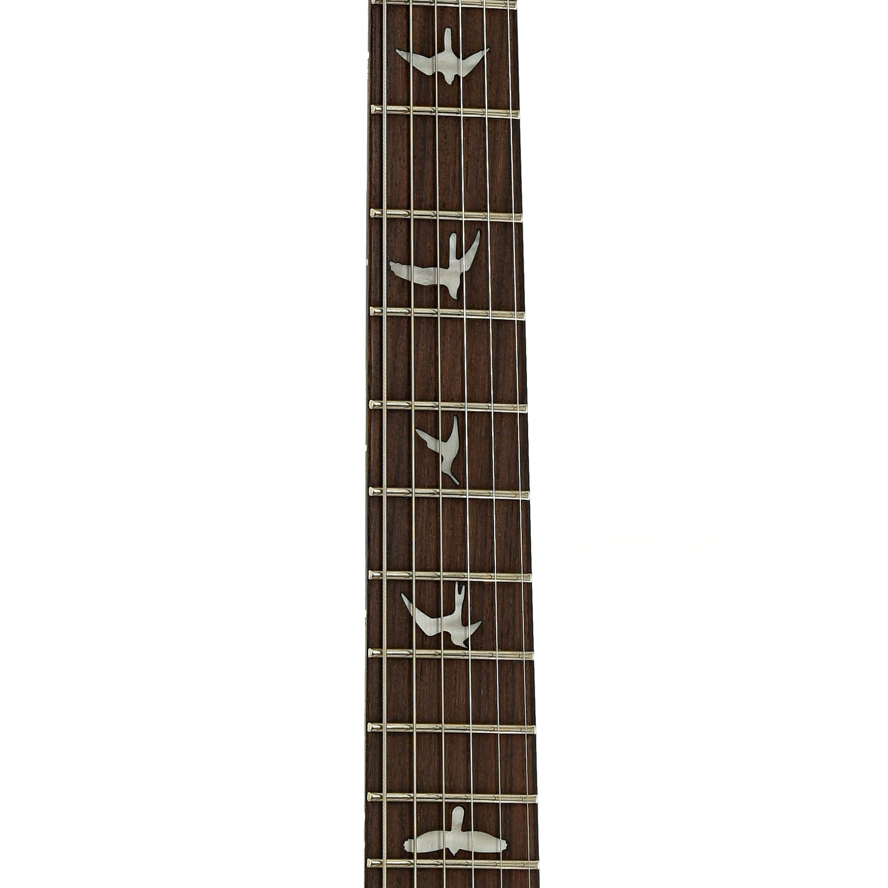 Fretboard of PRS SE Special Semi-Hollow Electric Guitar Lake Blue