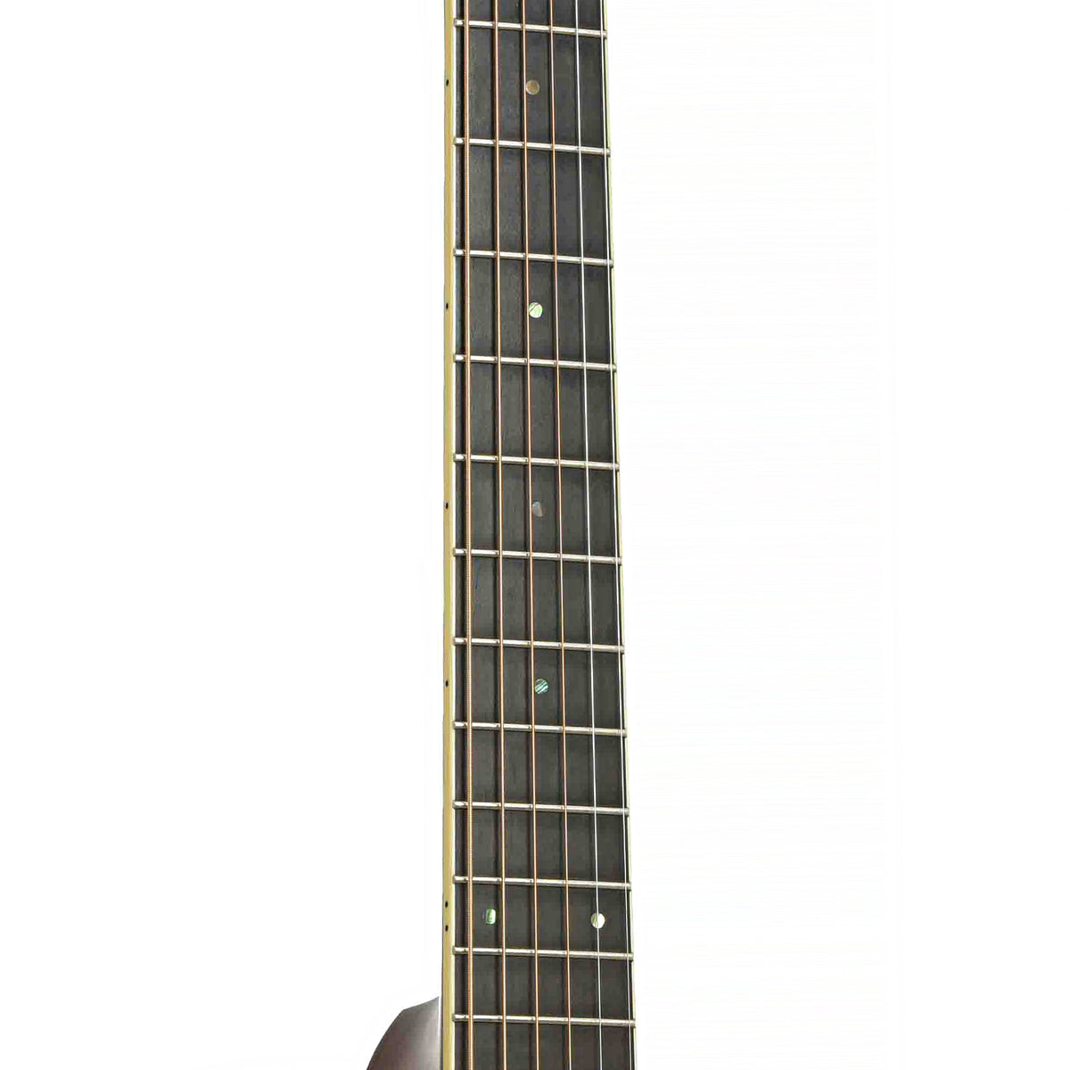 Fretboard of Taylor GC5