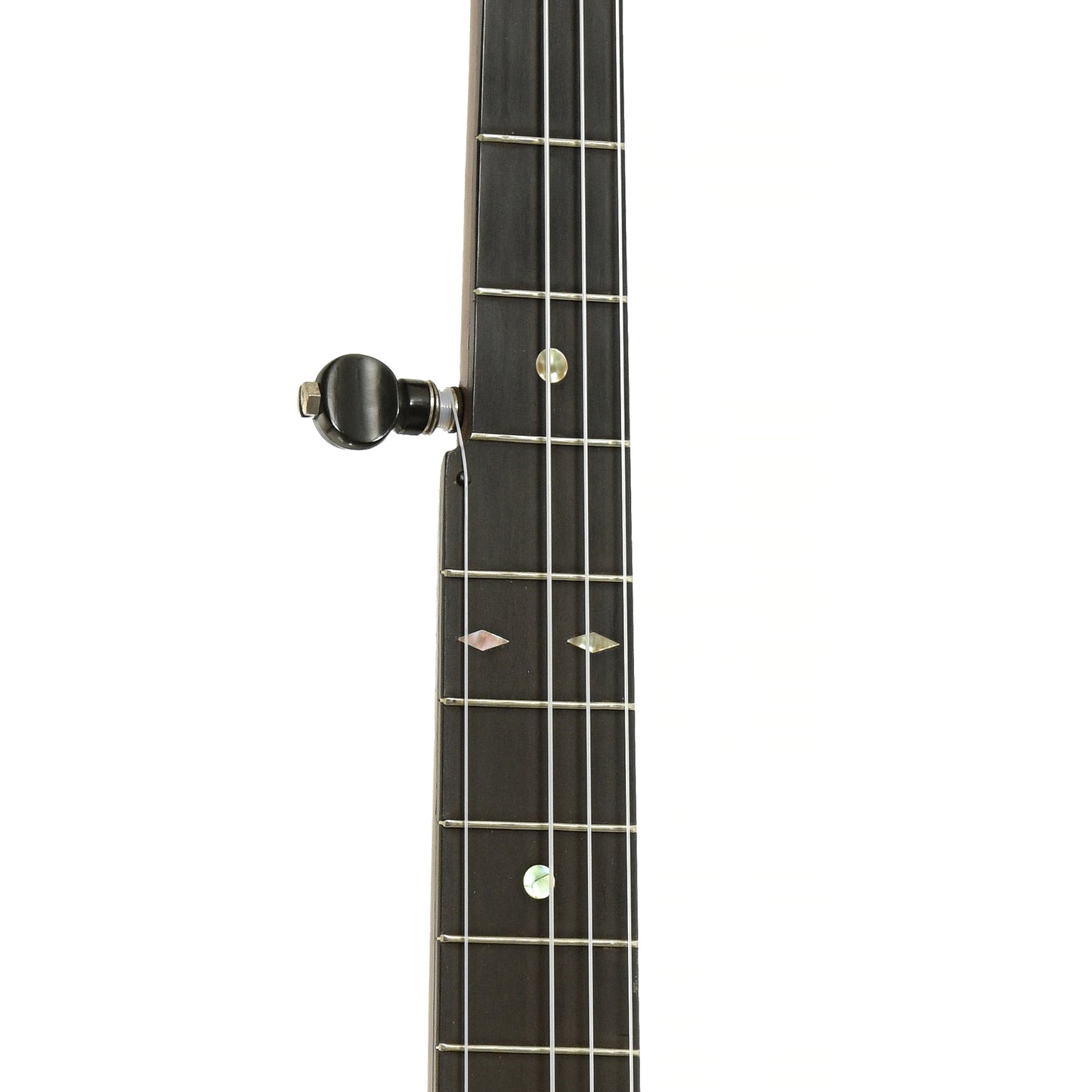 Fretboard of H.C. Dobson Openback Banjo