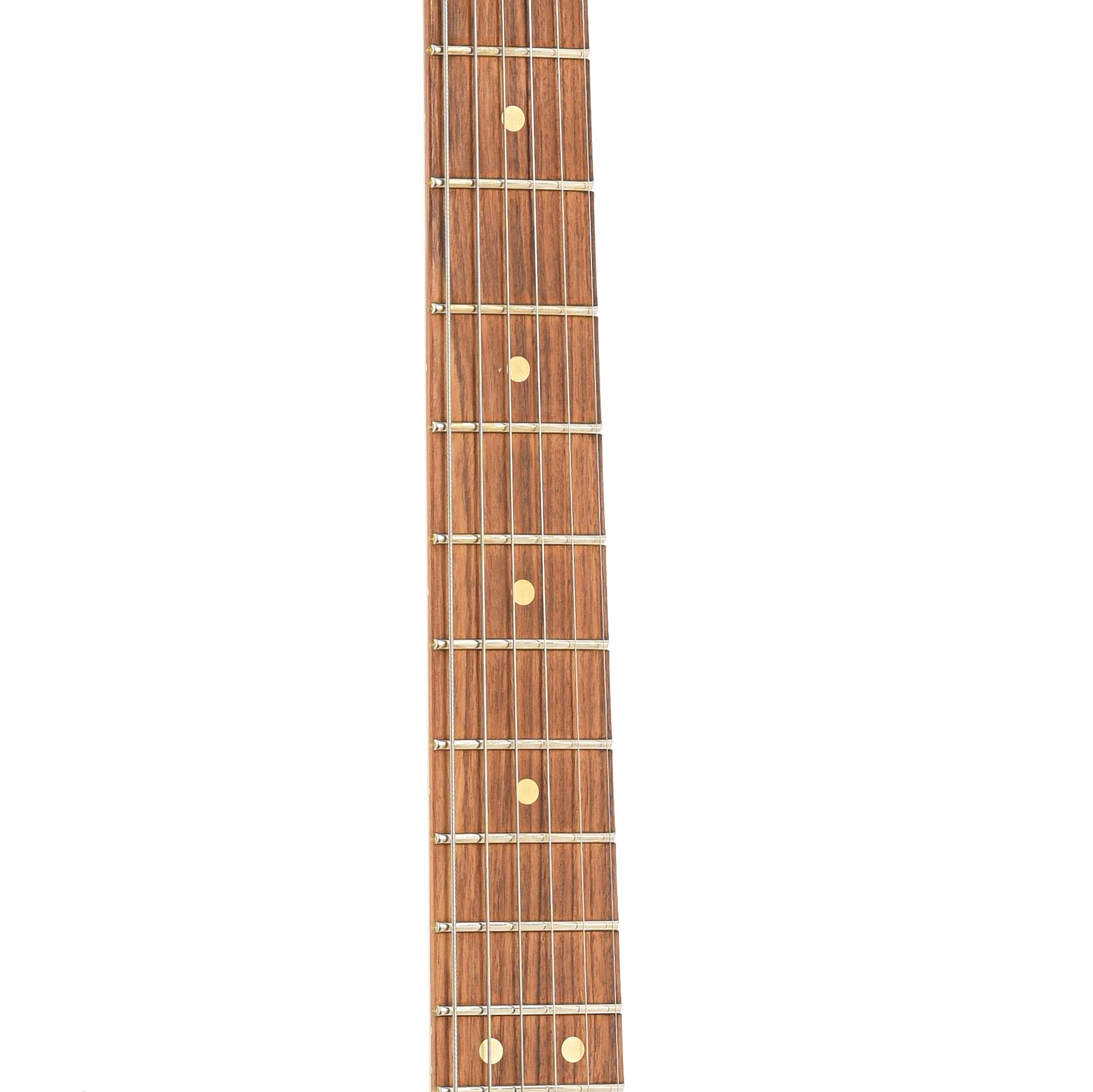 Fretboard of Fender Player Stratocaster Electric Guitar