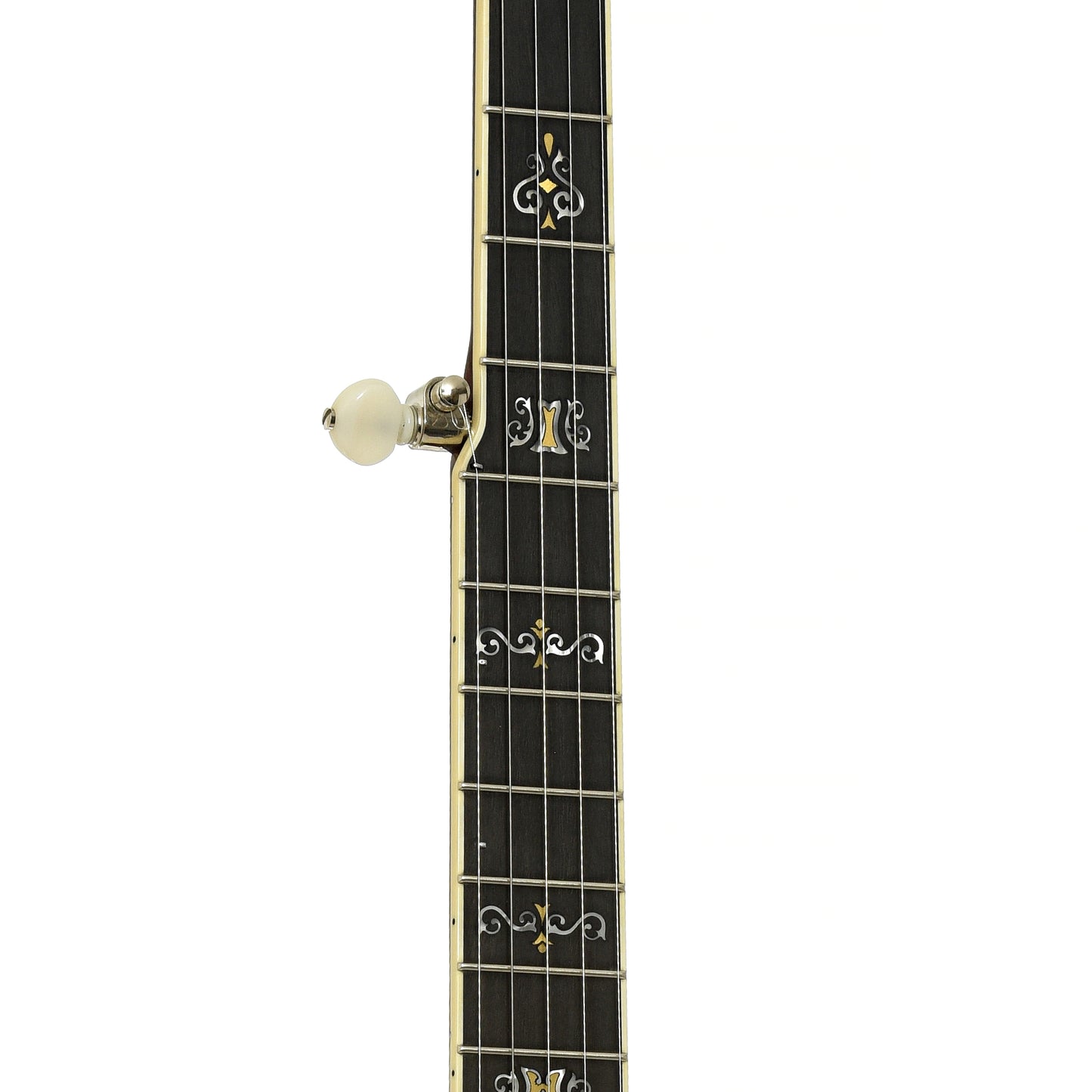 Fretboard of Deering Clawgrass II Openback Banjo