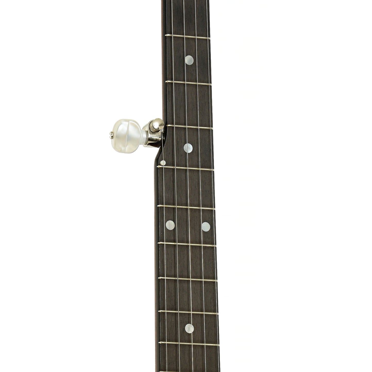 Fretboard of Bart Reiter Standard A-Scale Open Back Banjo 