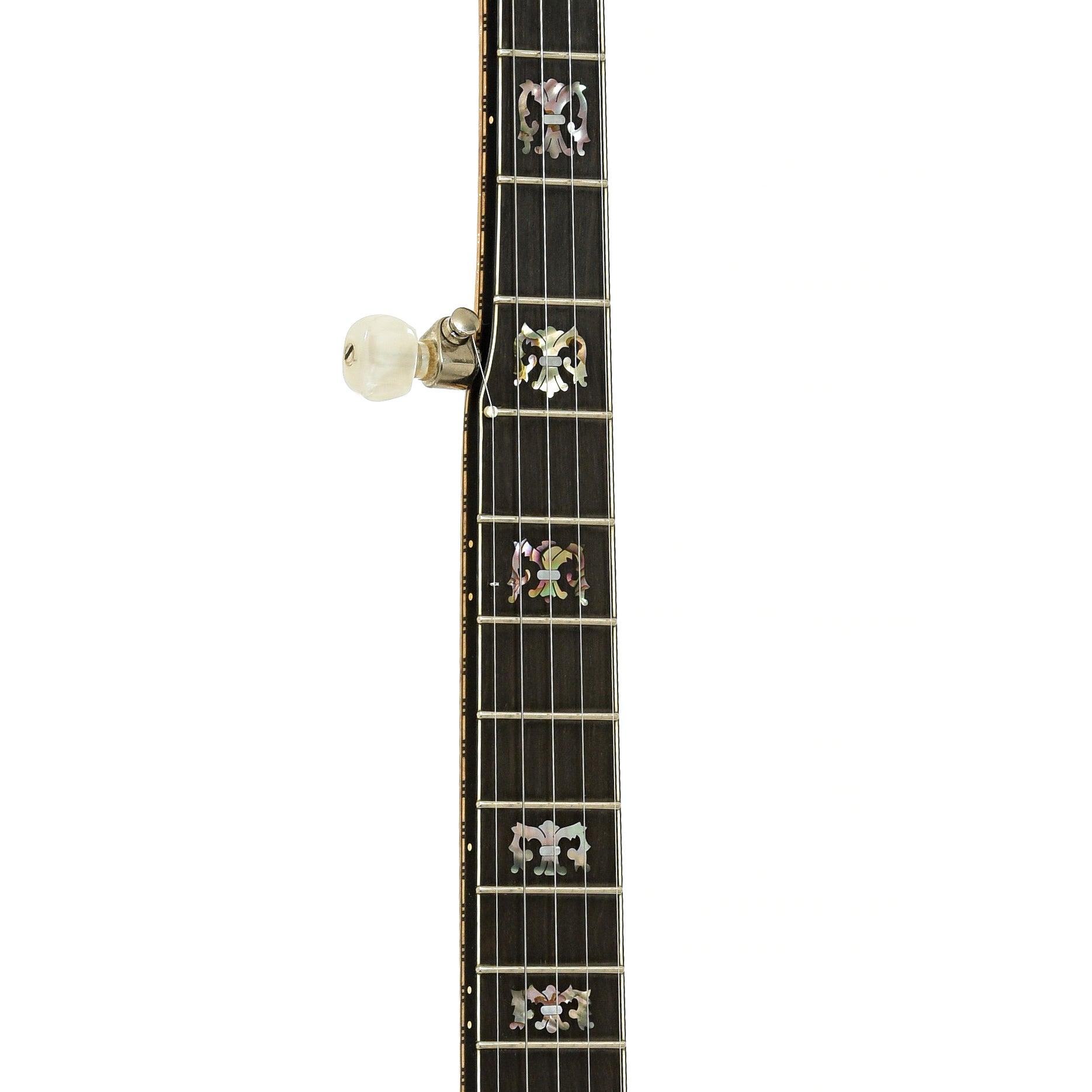 Fretboard of Wildwood Artist Open Back Banjo