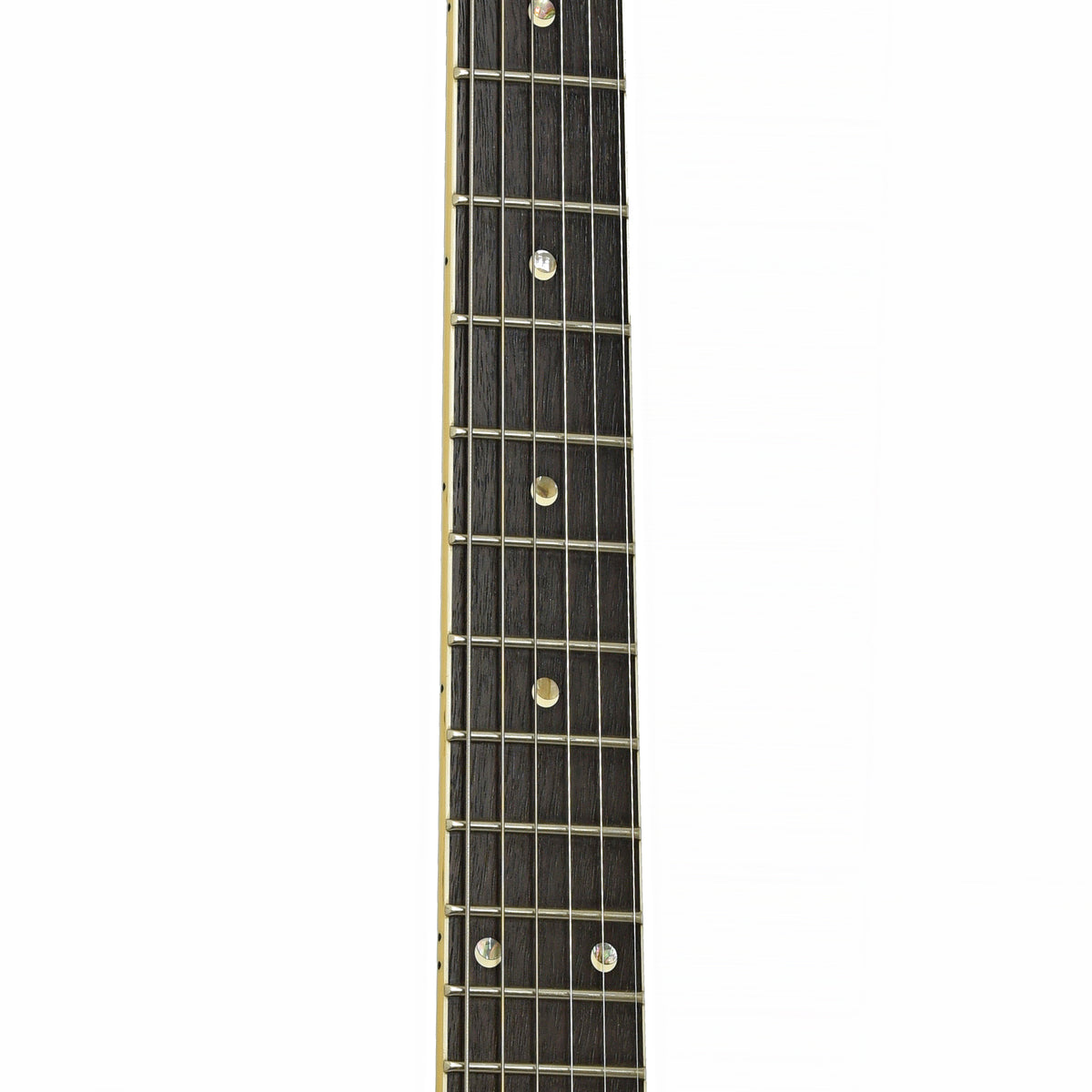 Fretboard of PRS DGT Electric Guitar 

