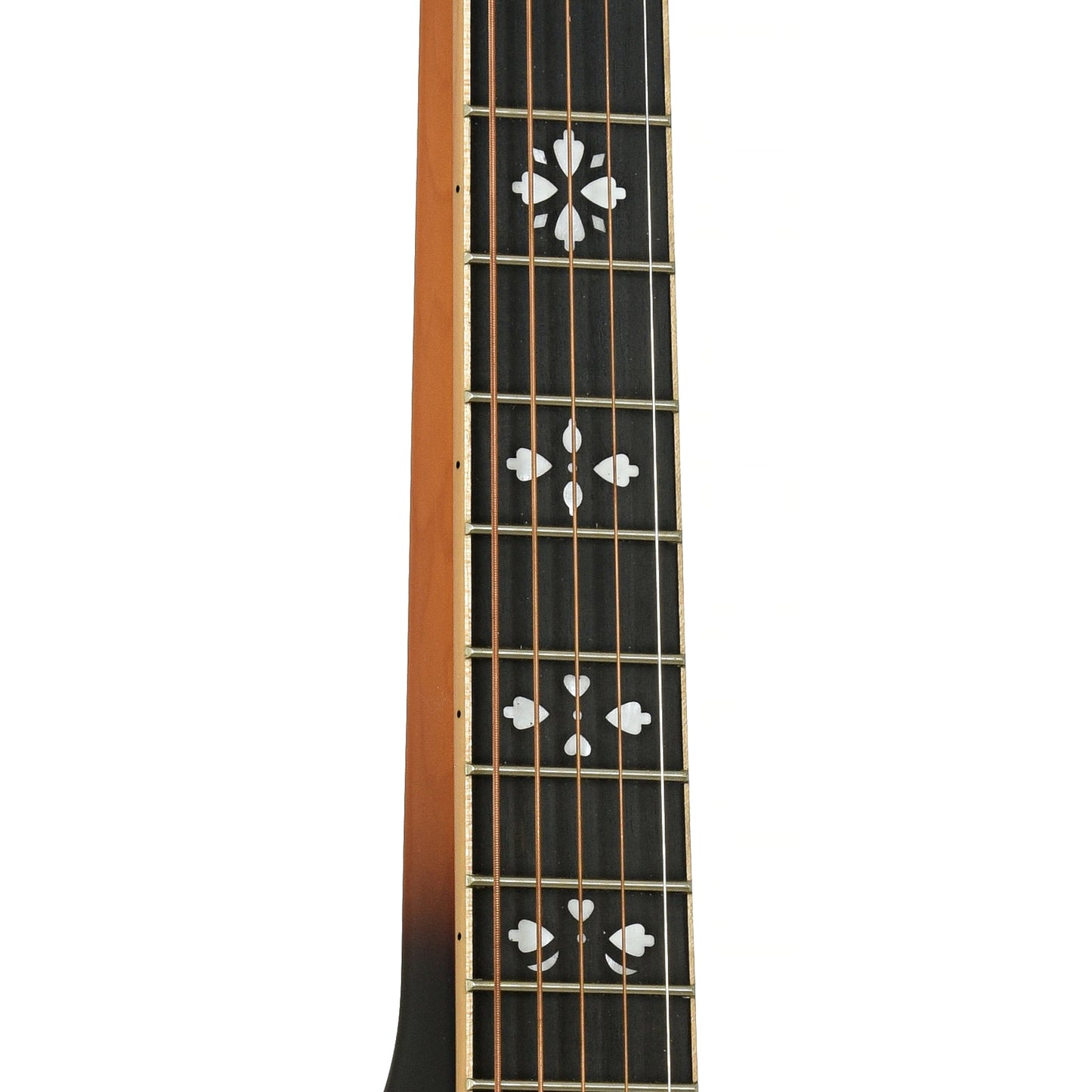 Gold Tone PBS-D Squareneck Resonator Guitar (2024)