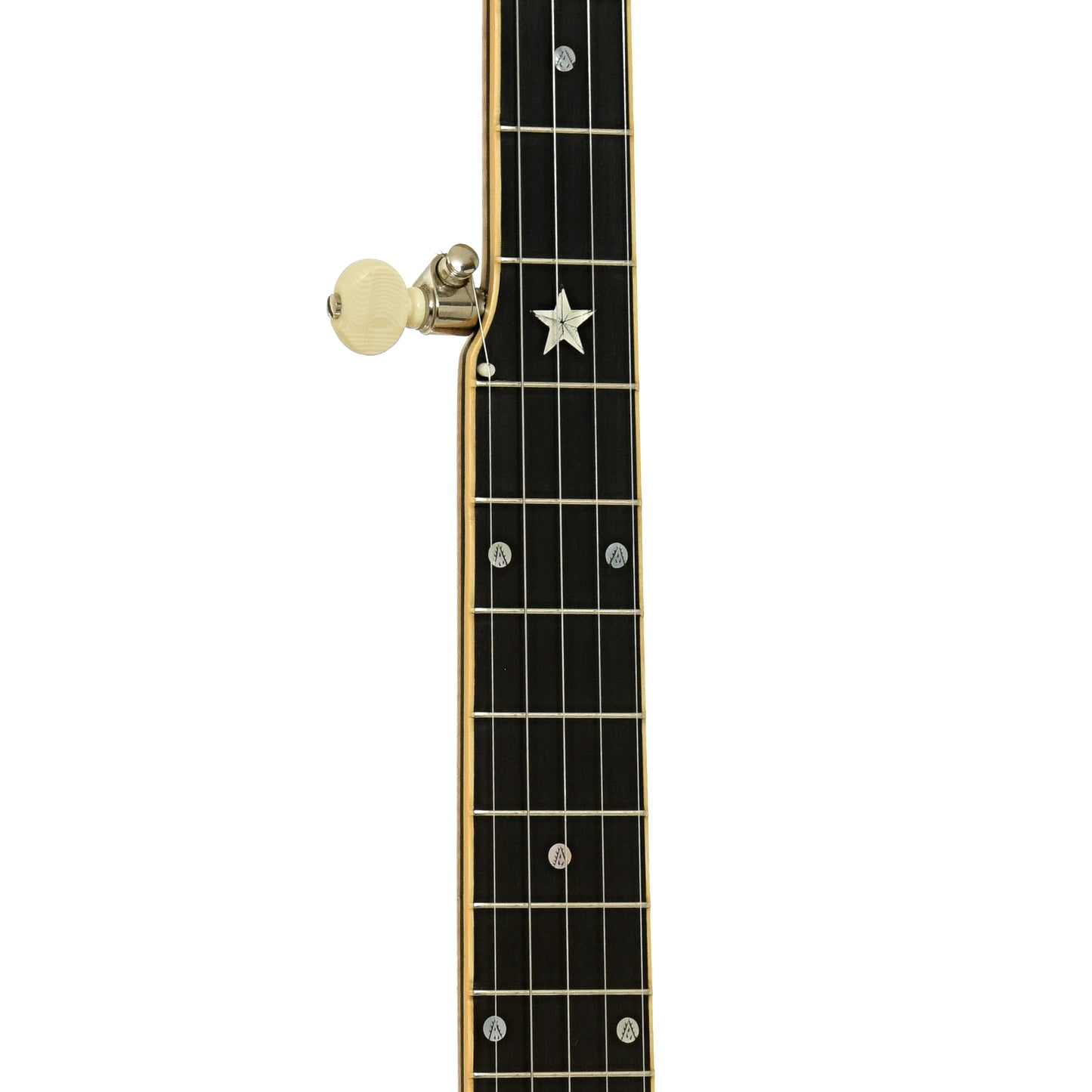 Fretboard of Ramsey / Vega Whyte Laydie Conversion Open Back Banjo