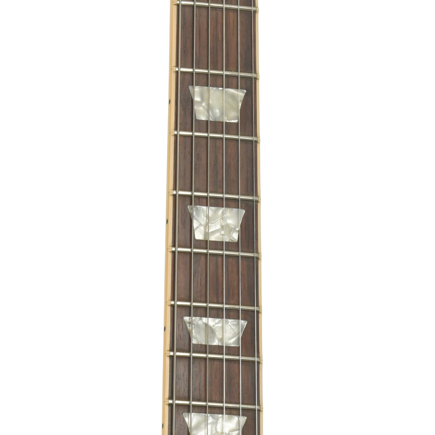 Fretboard of Gibson Les Paul Standard Electric Guitar