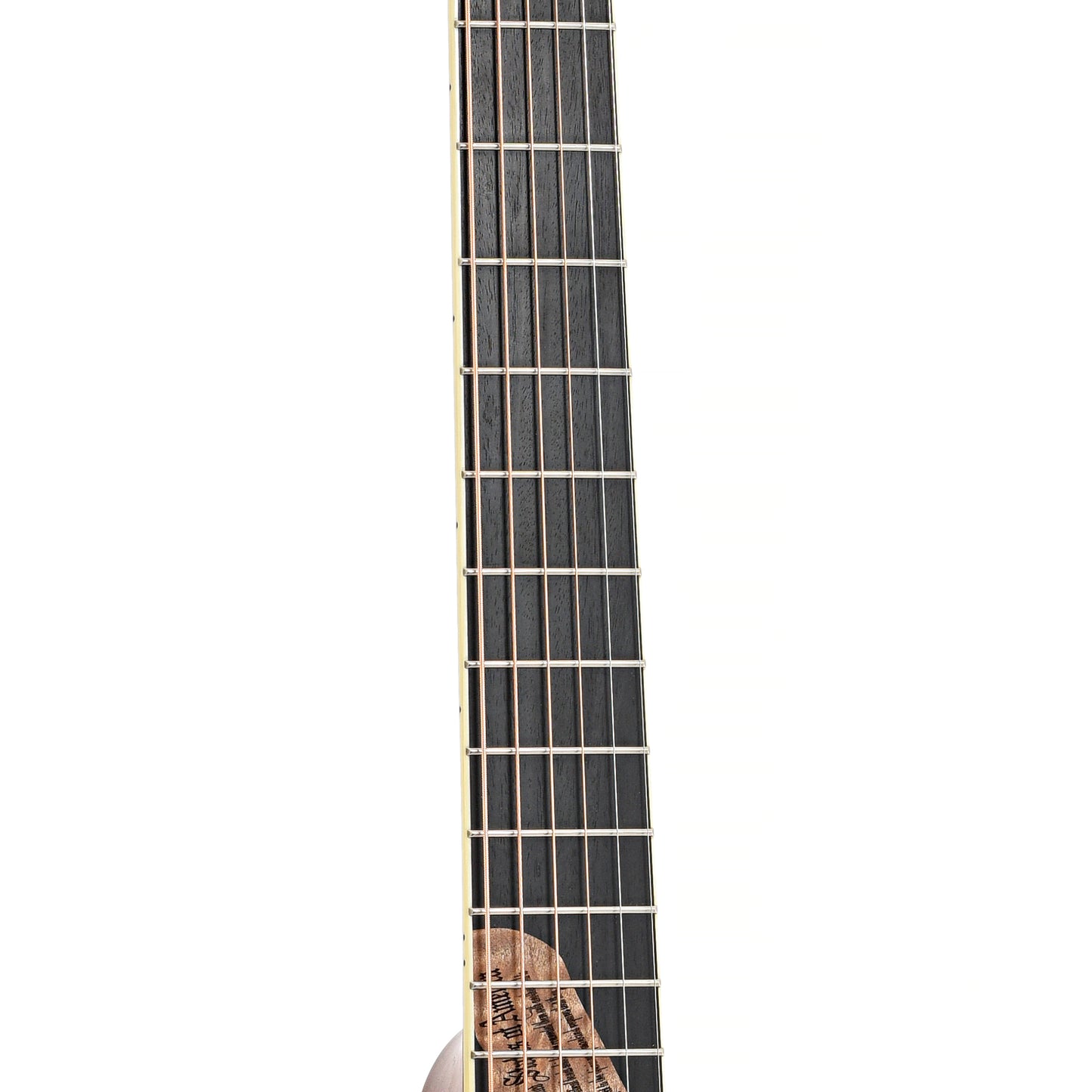 Fretboard of Taylor LTG Liberty Tree Acoustic Guitar (2002)