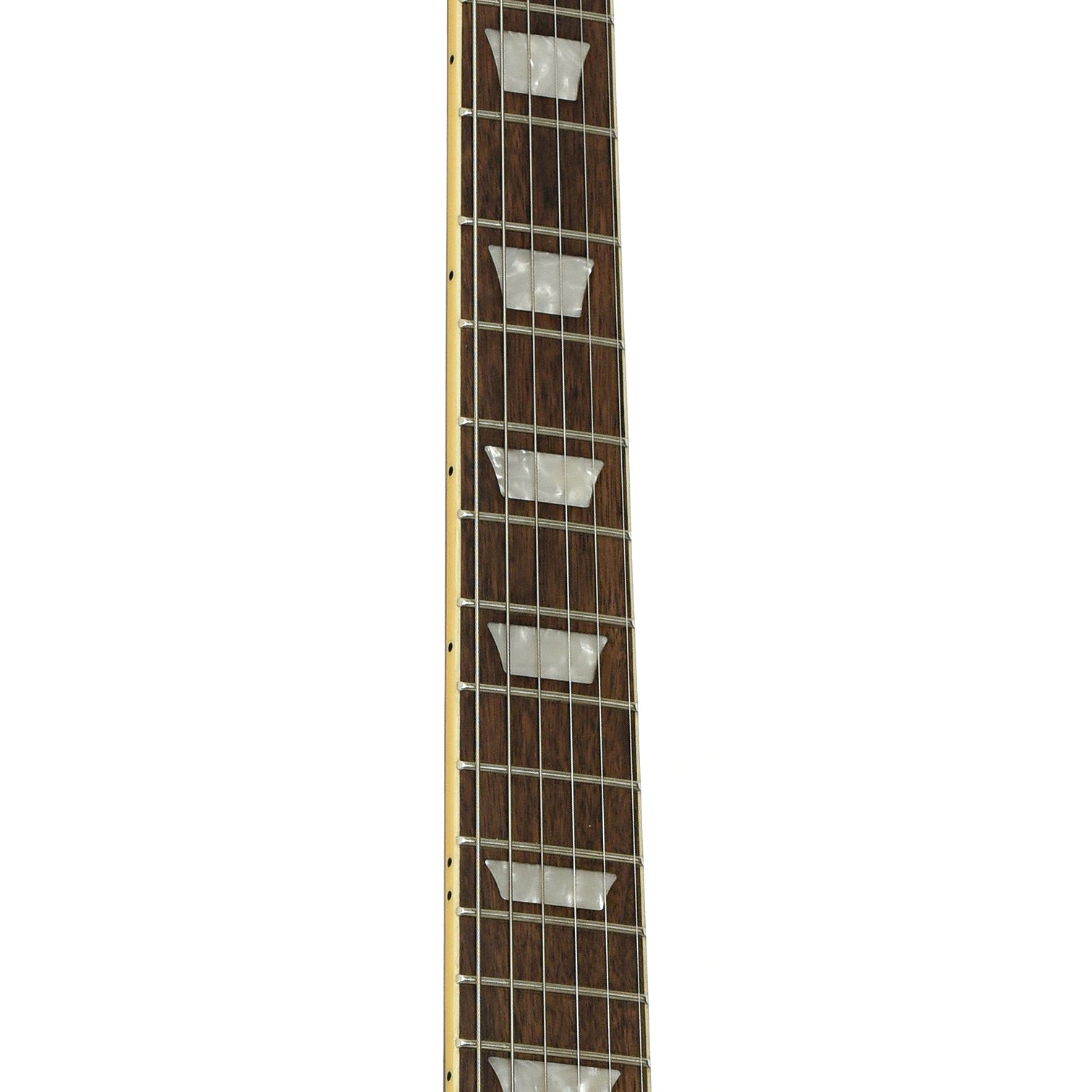 fretboard of Epiphone Firebird Electric Guitar  