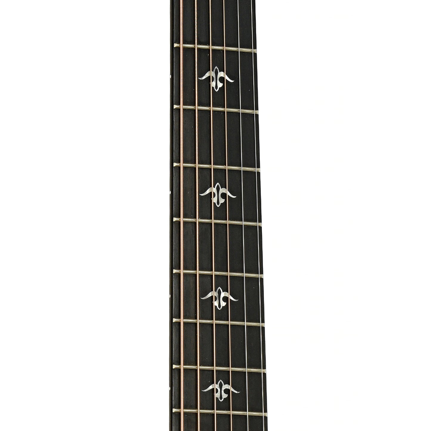 Fretboard of Taylor 512CE Acoustic Guitar 