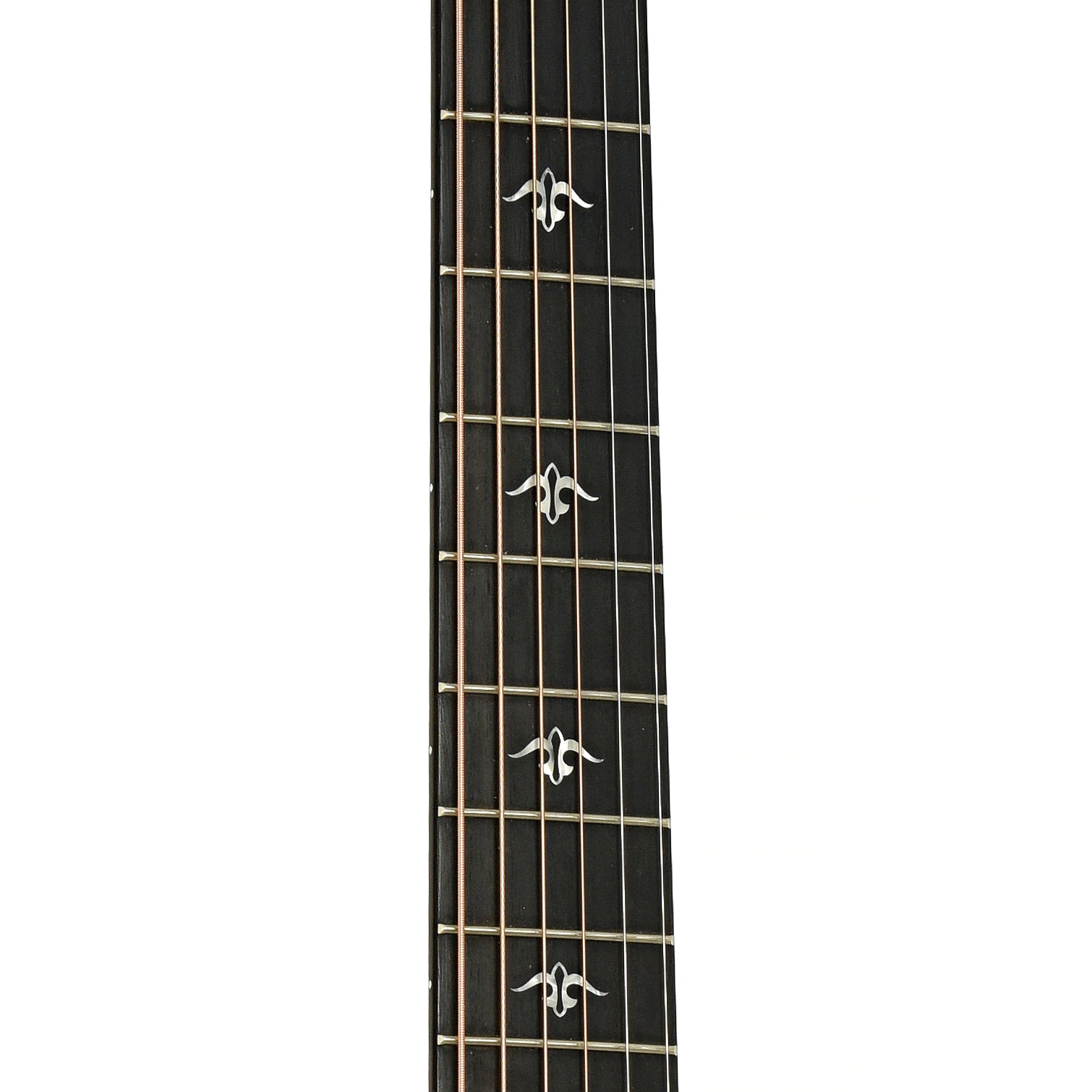 Fretboard of Taylor 512CE Acoustic Guitar 
