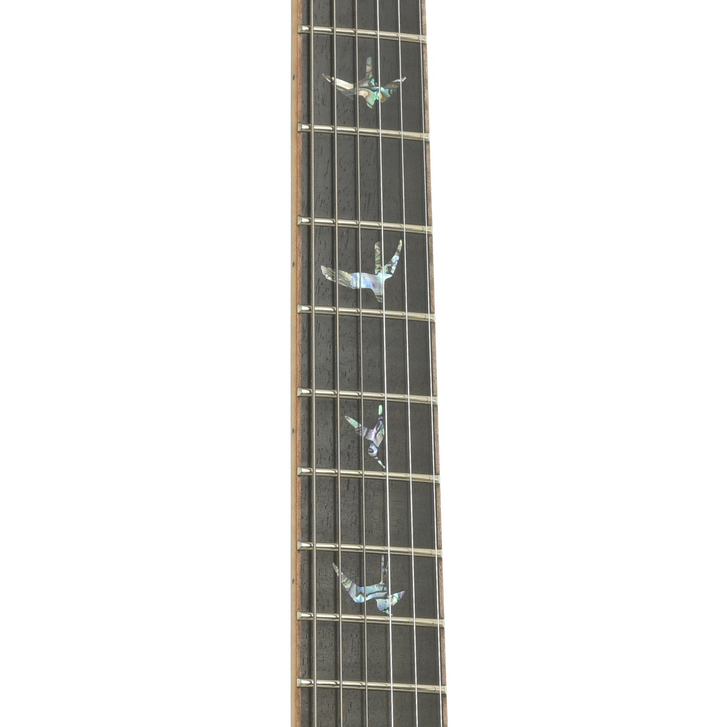 Fretboard of PRS SE Hollowbody II Piezo Electric Guitar 