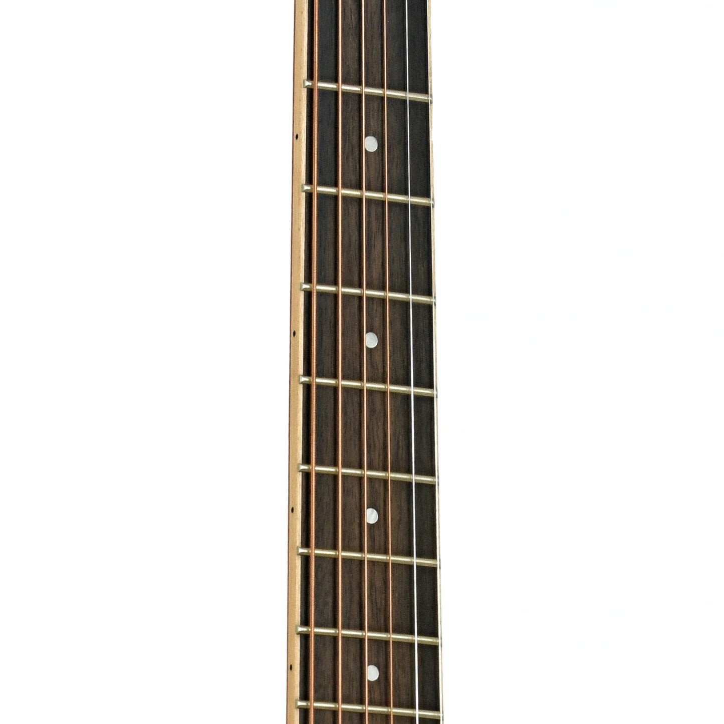 Fretboard of Larrivee LV-03 Recording Series L Body Acoustic Guitar