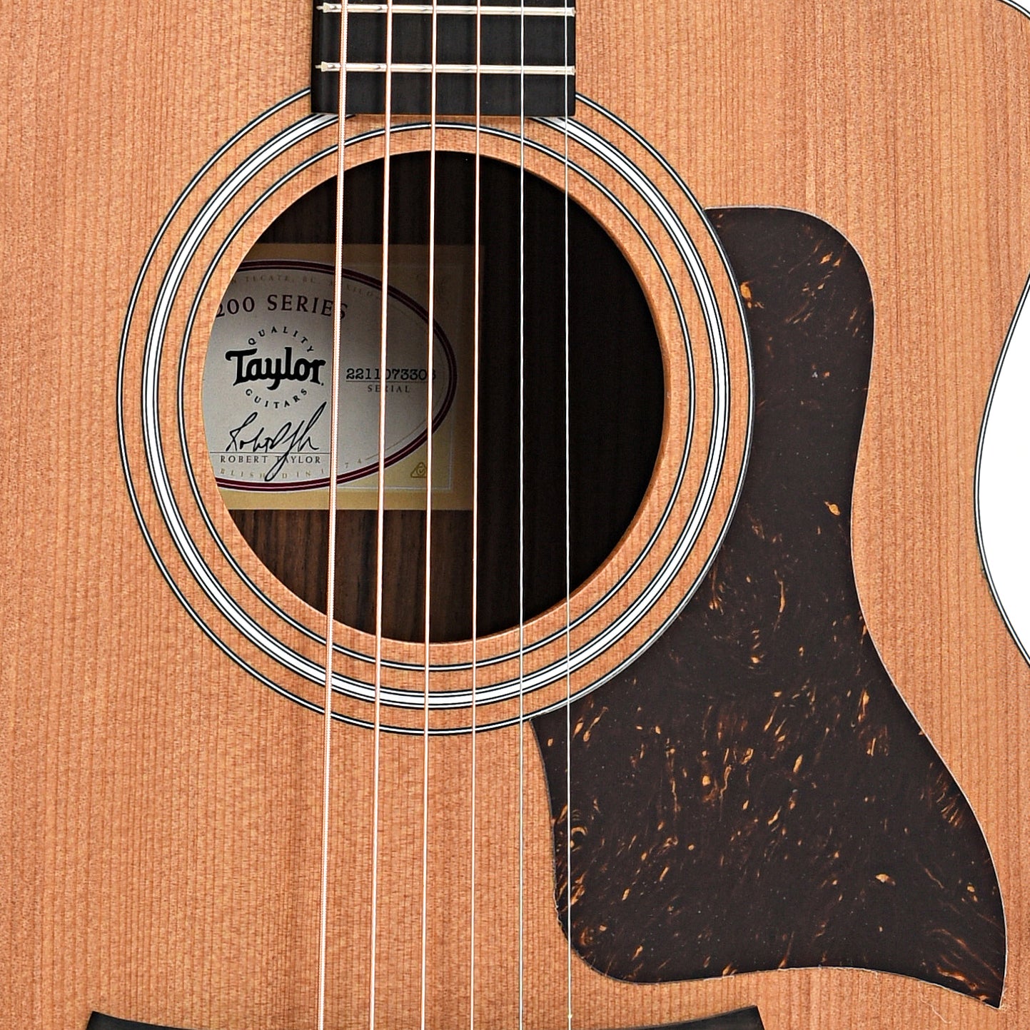 Sound hole and pickguard of Taylor 214ce Acoustic Guitar