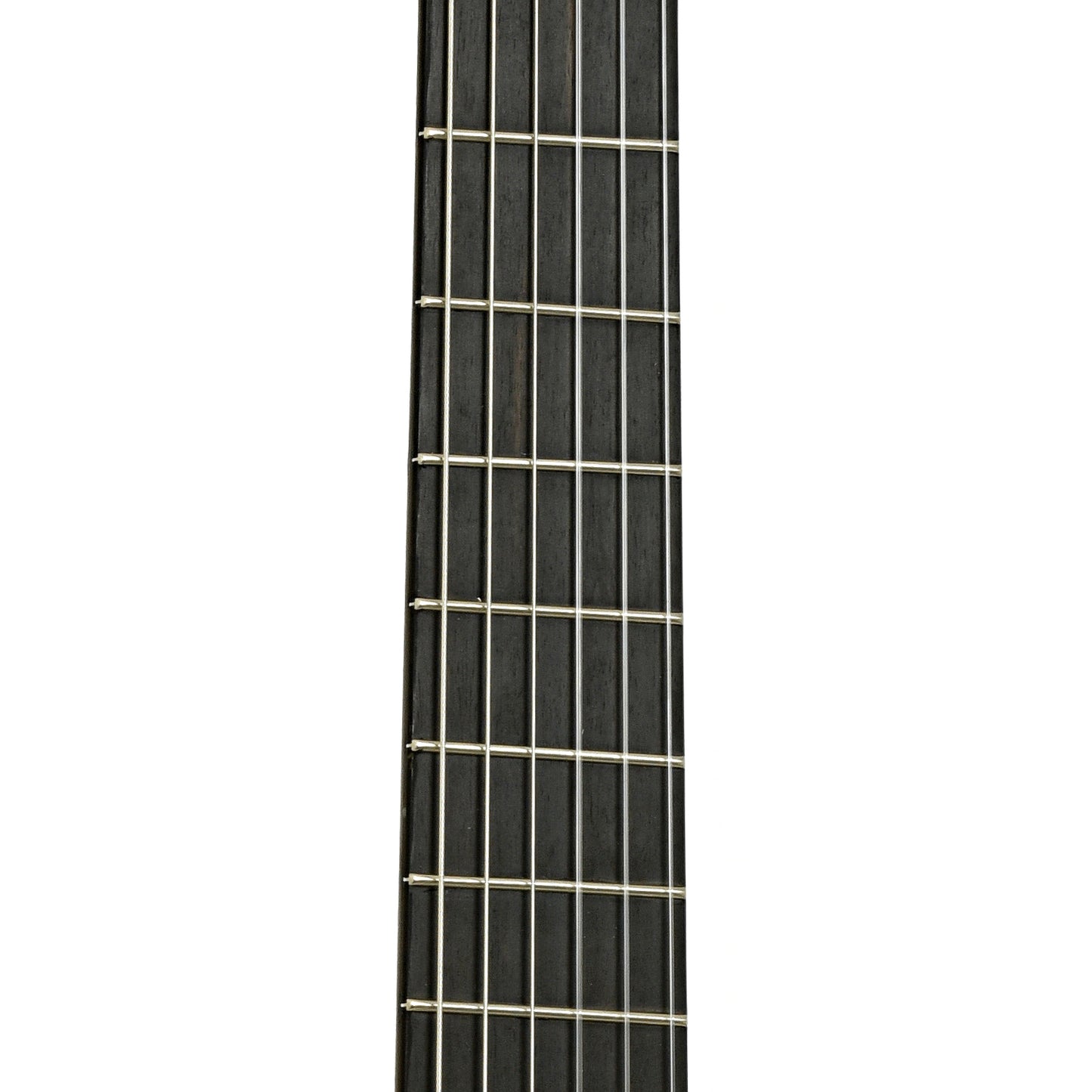 Fretboard of Jellinghaus Antonio De Torres 1883 Replica SE49 Acoustic Guitar