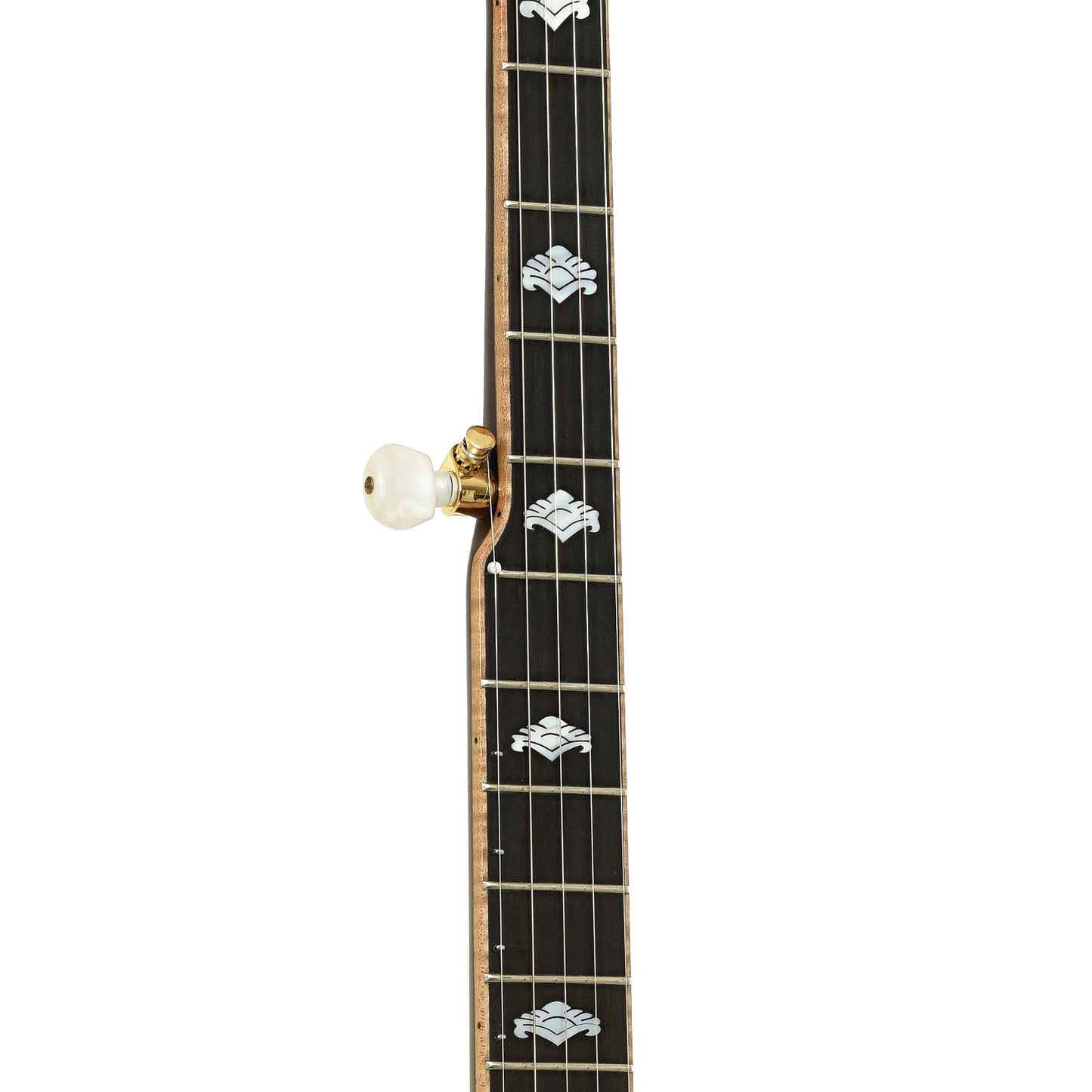 Fretboard of  Gold Tone Pat Cloud Banjola 