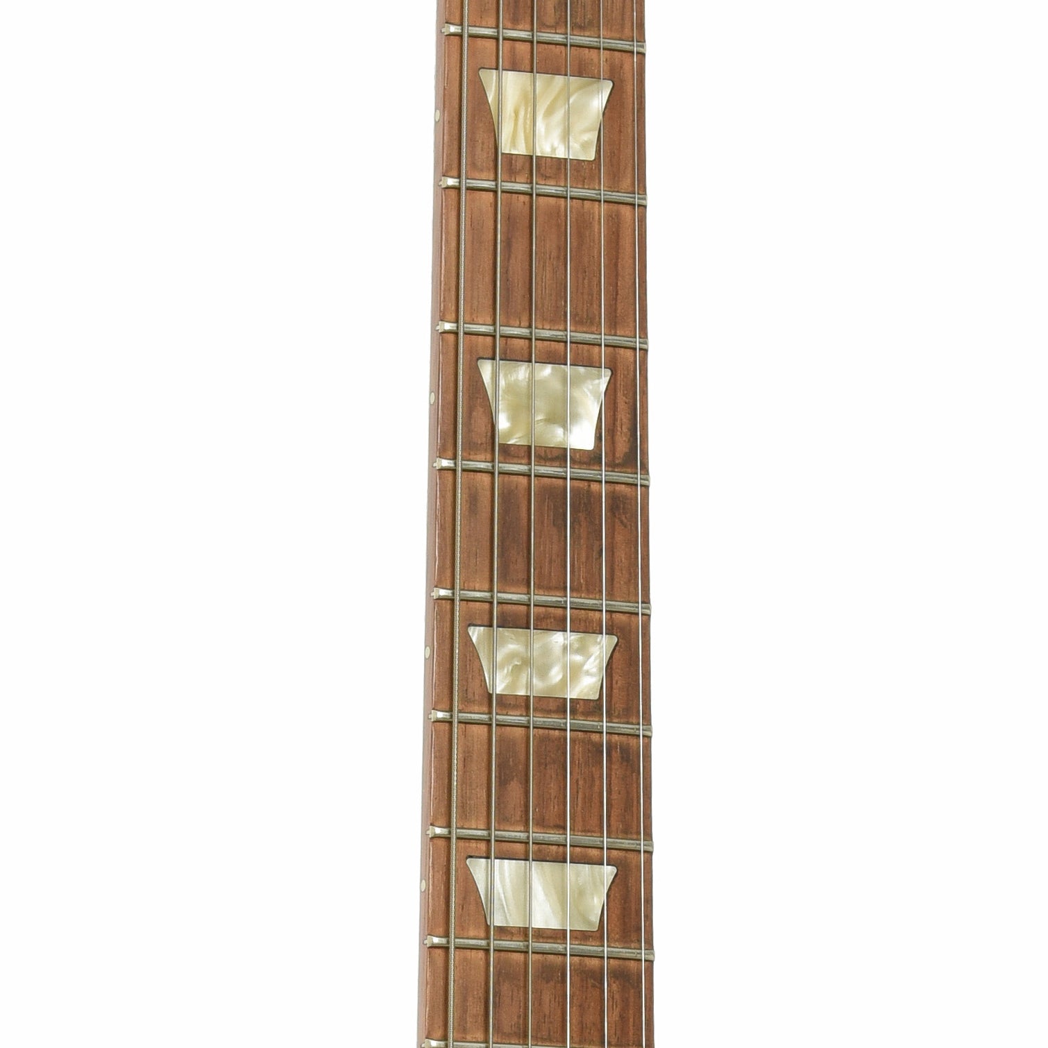 Fretboard of Gibson Les Paul Studio Faded Electric Guitar 