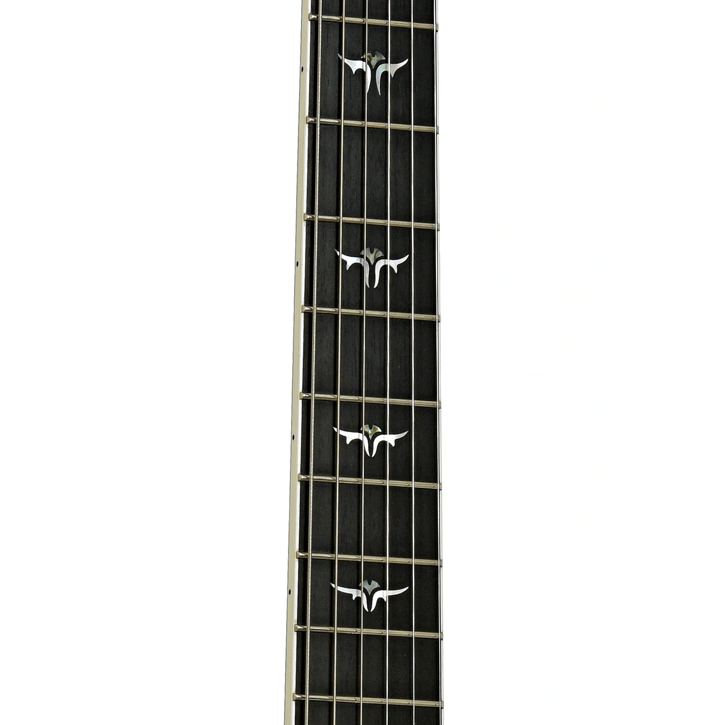 Fretboard of Taylor T5-C Hollowbody Electric Guitar 